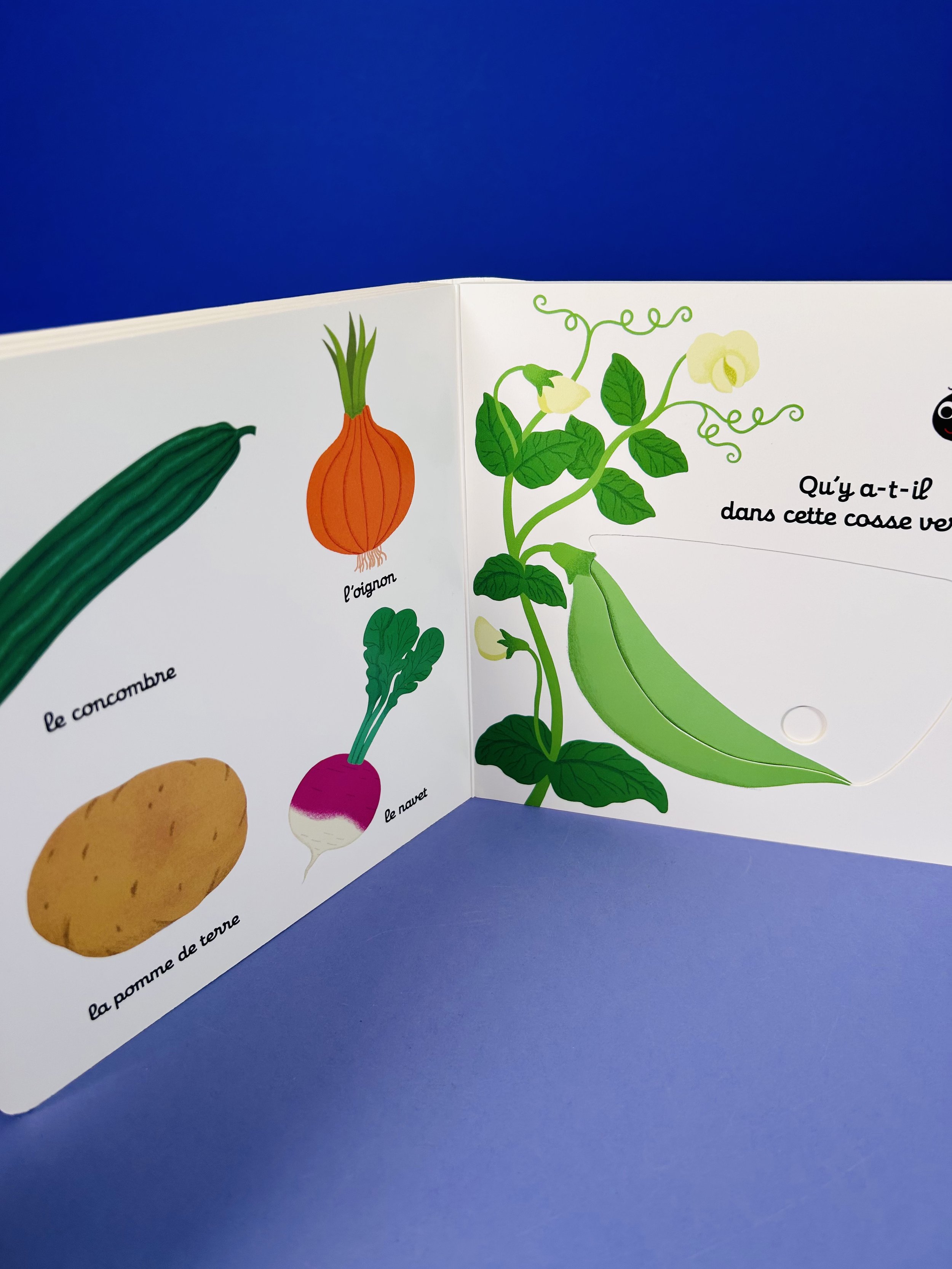 Mon imagier des légumes_4.jpeg
