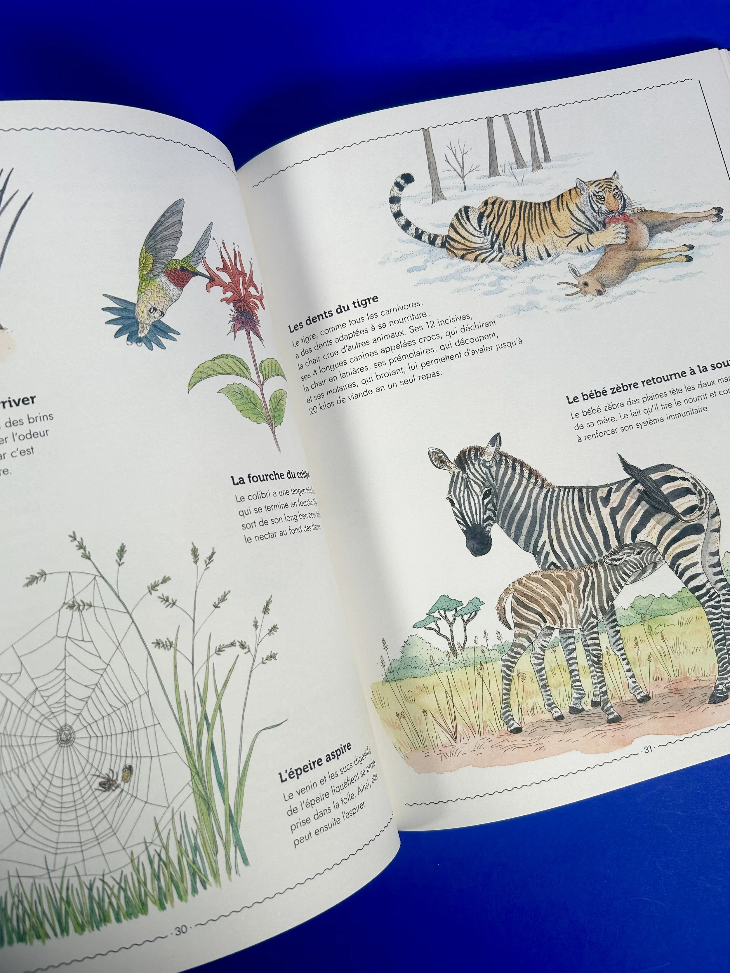 Replay kids_livre_vivre_8.jpeg