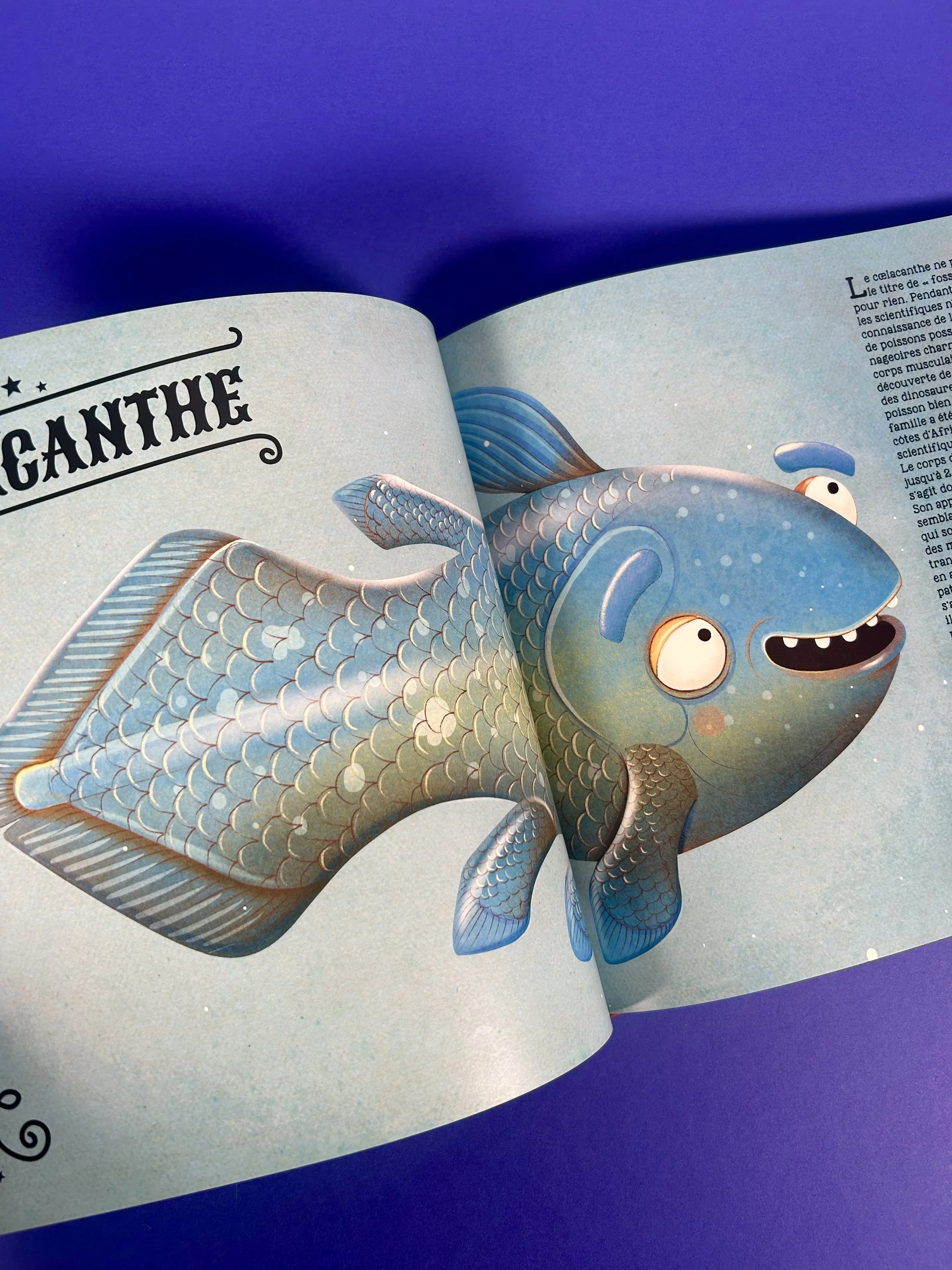 Replay kids_livre_incoyable animaux du monde_6.jpeg