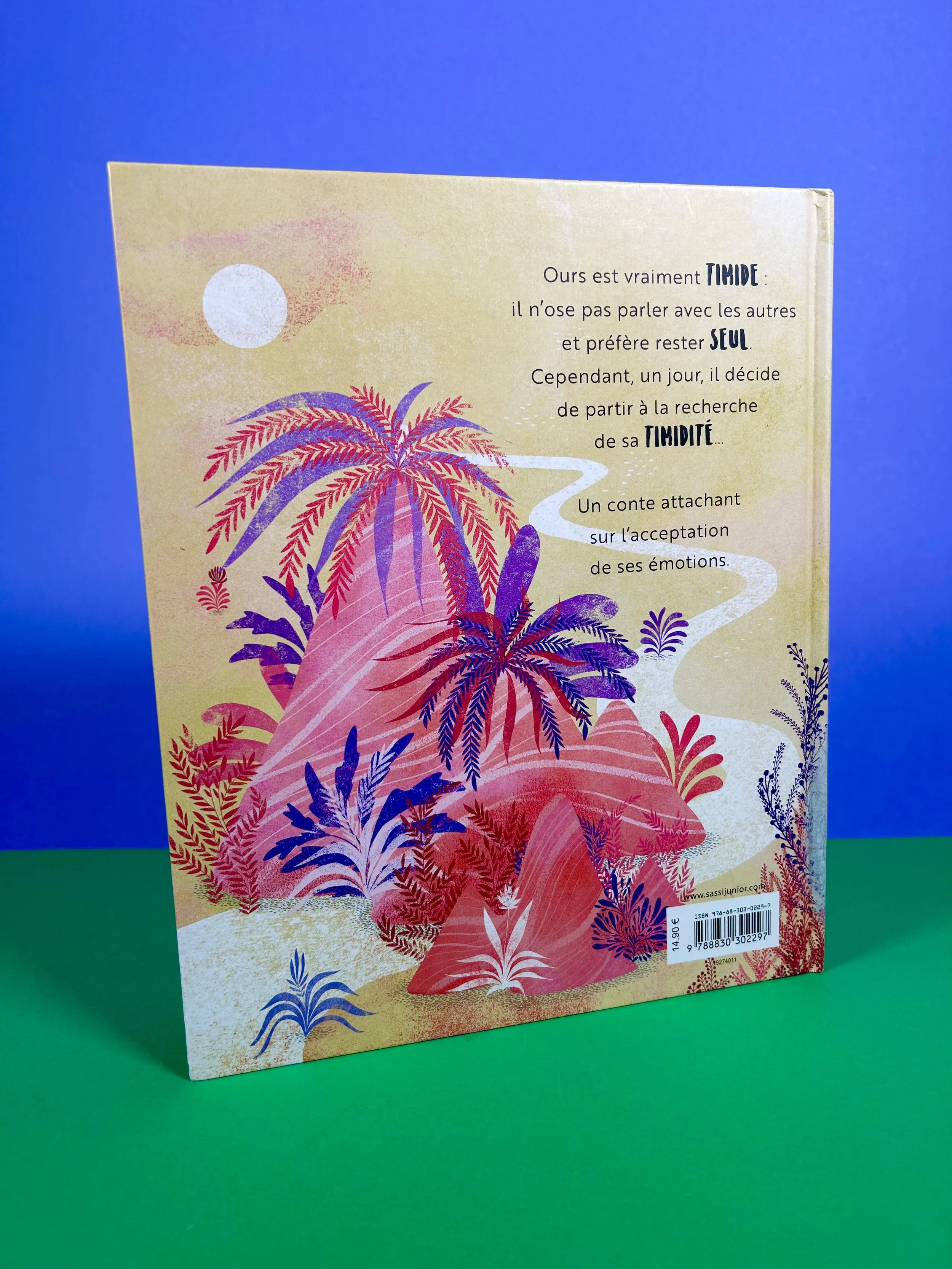 Replay kids_livre_une timidité d'ours_2.jpeg