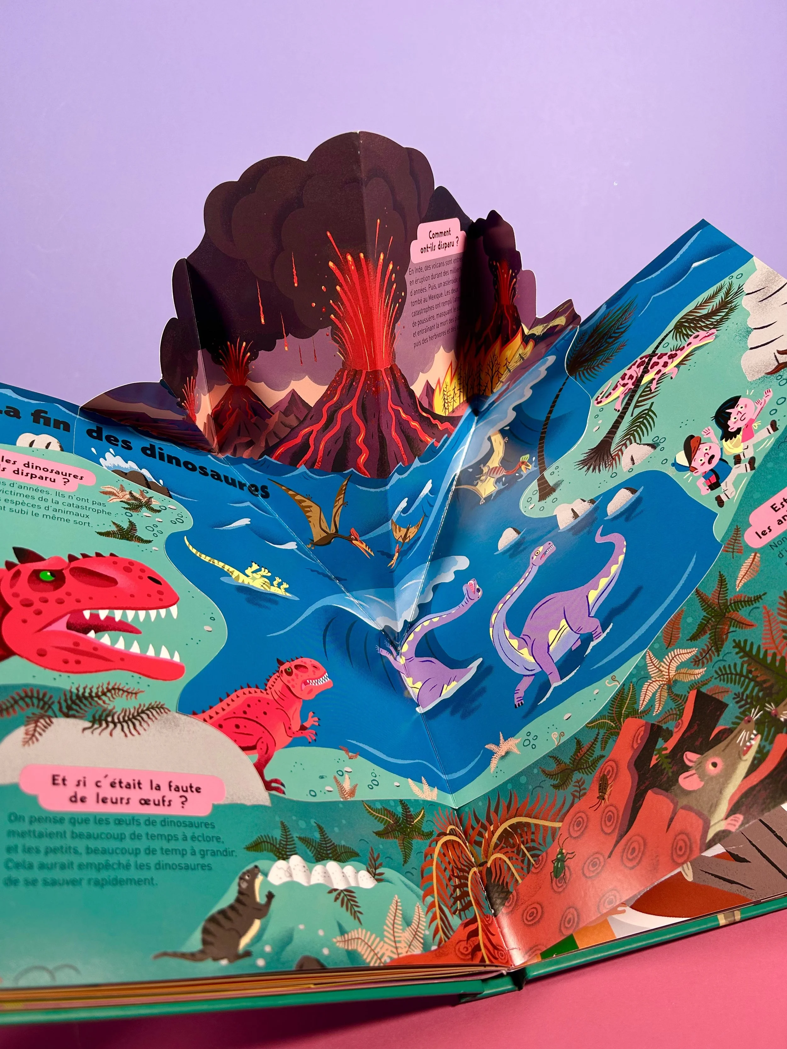 Replay kids_livre_kididoc des dinosaures_8.jpeg