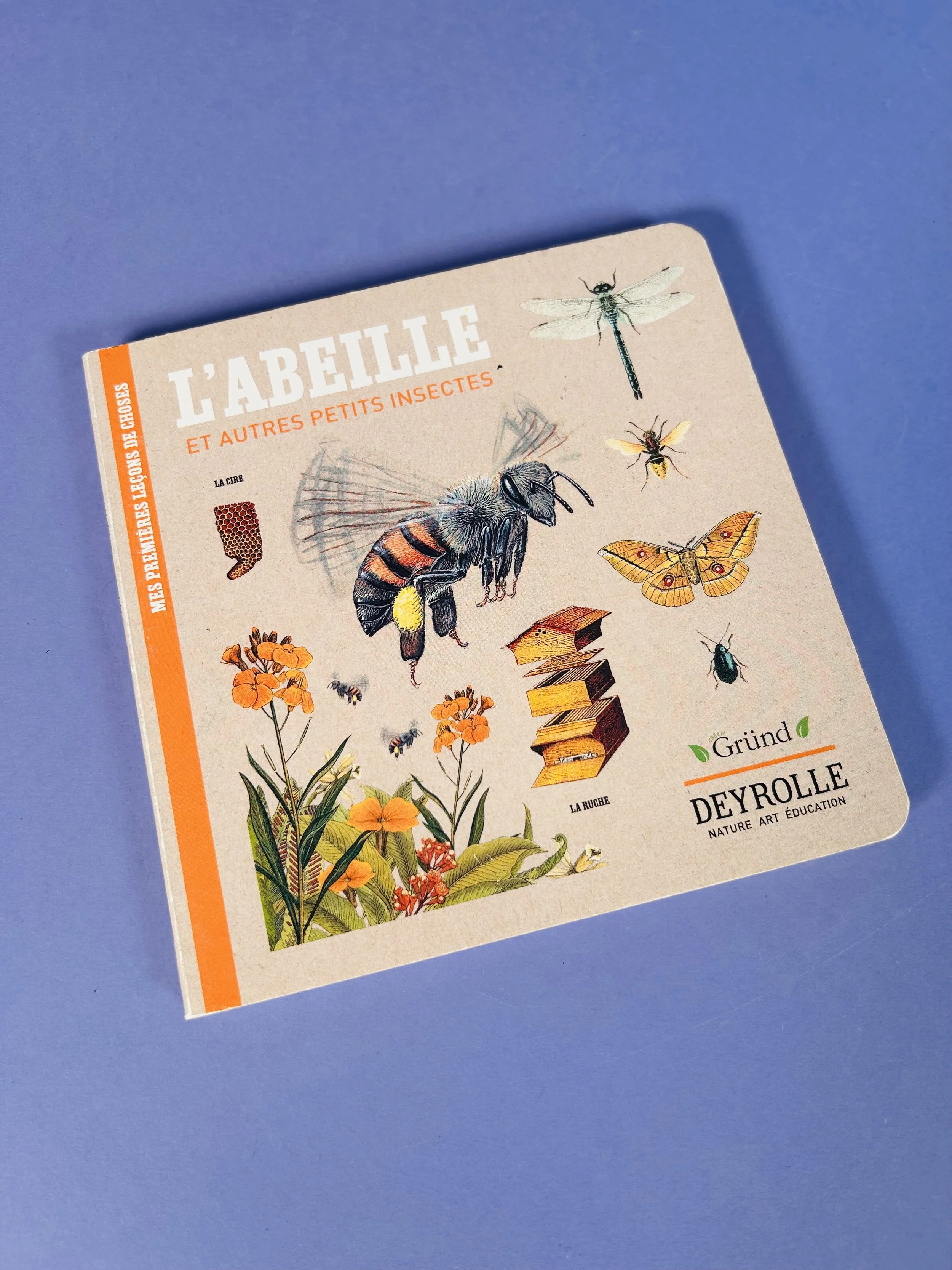 L'abeille et autres petits insectes
