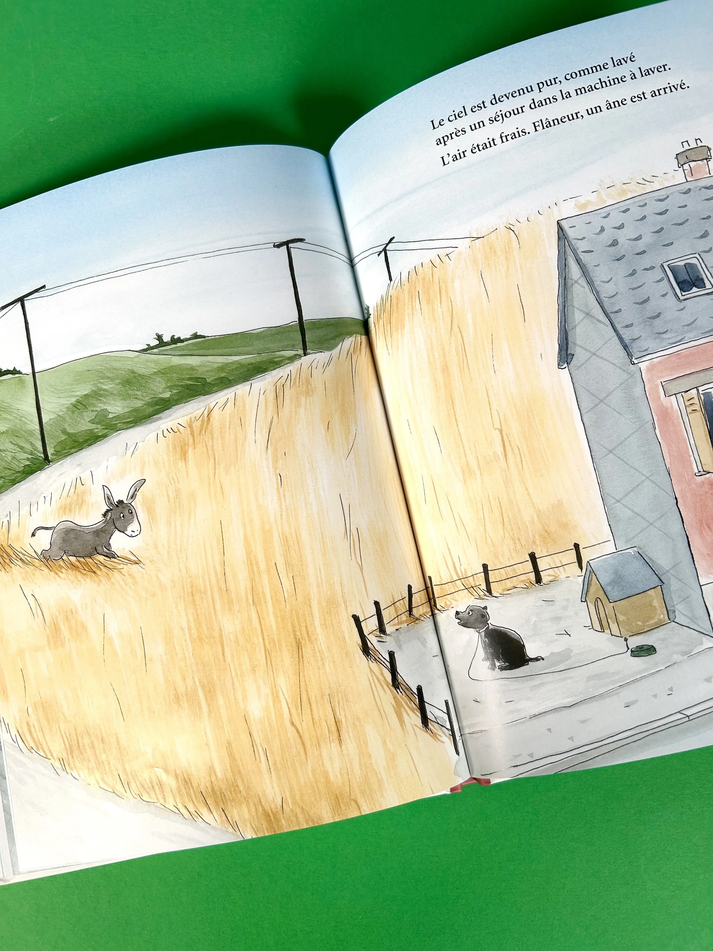 Replay kids_hortensia_4.jpeg