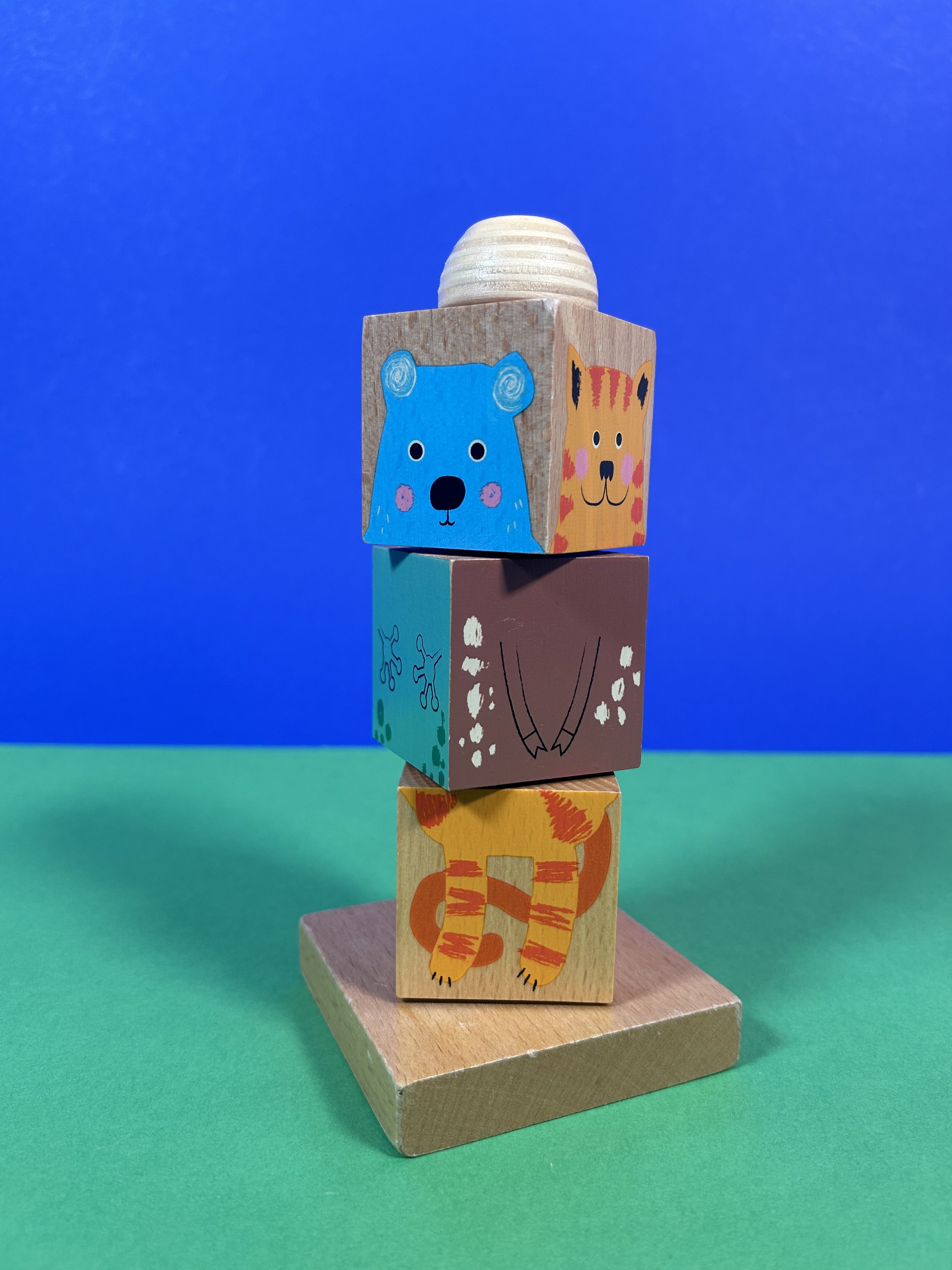 Replay_tour cubes animaux_2.jpeg