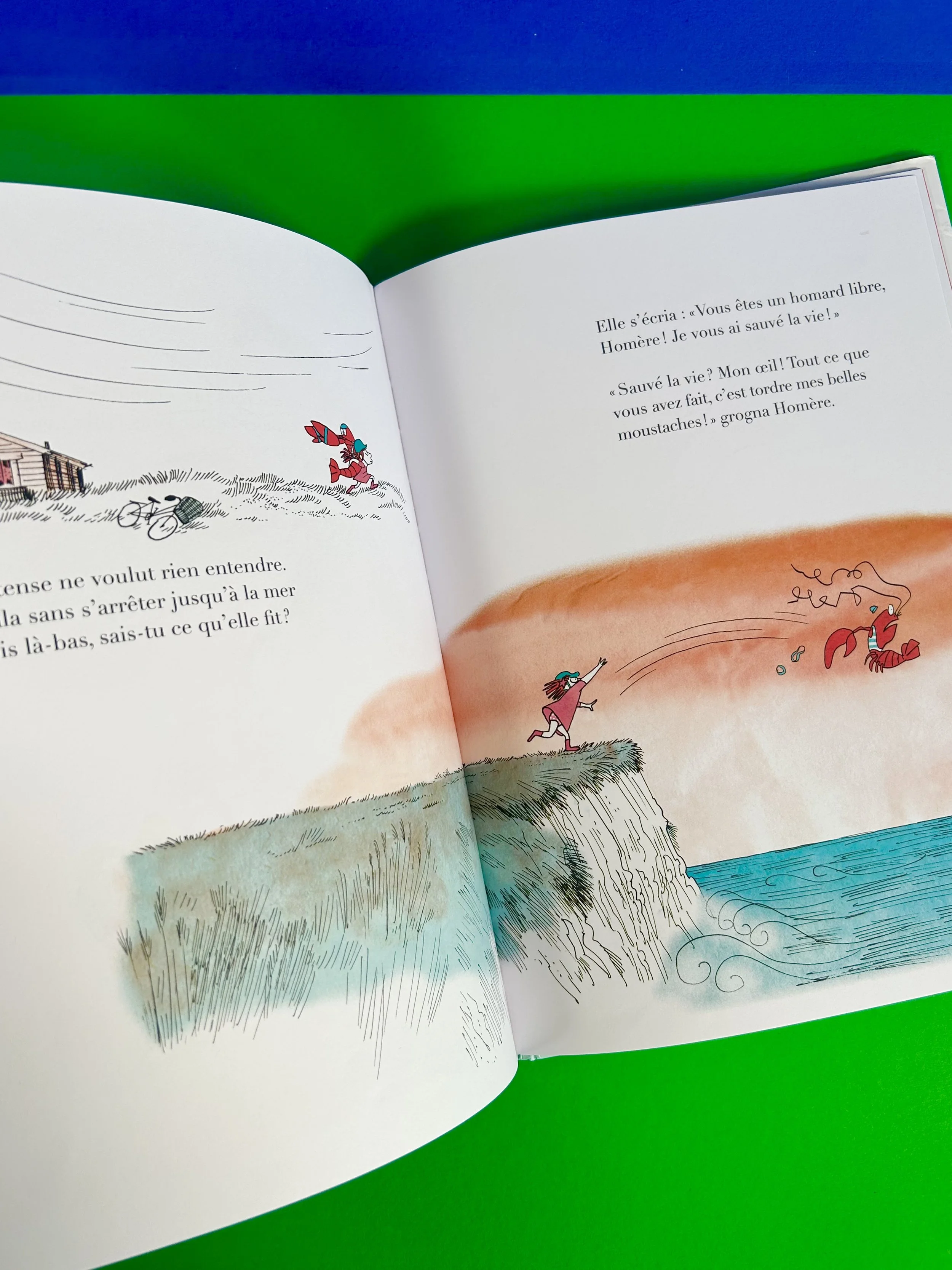 Replay kids_Homère le Homard doit-il rester dîner?_Phaidon_3.jpeg