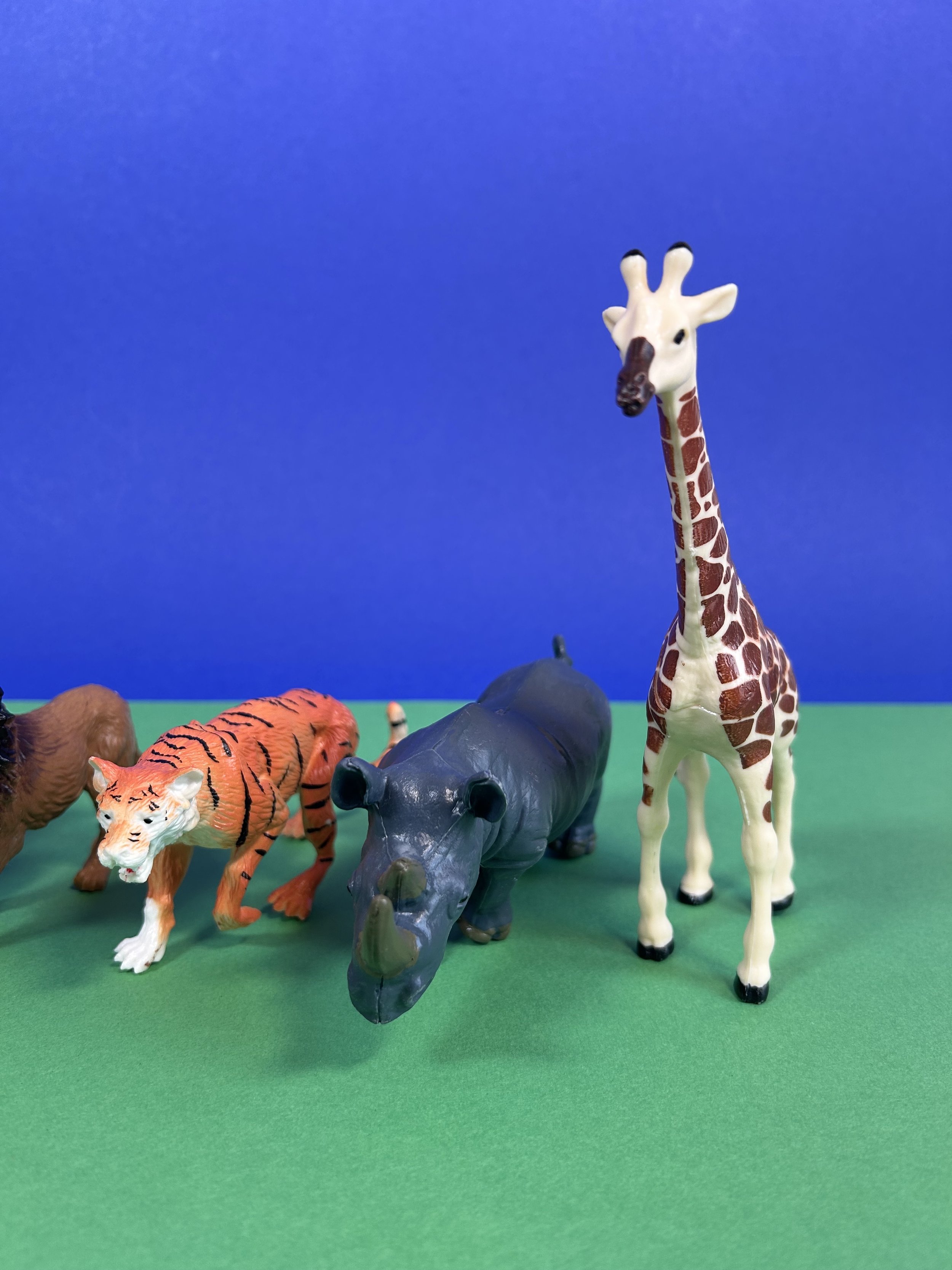 Replay_lots d'animaux savanes_3.jpeg