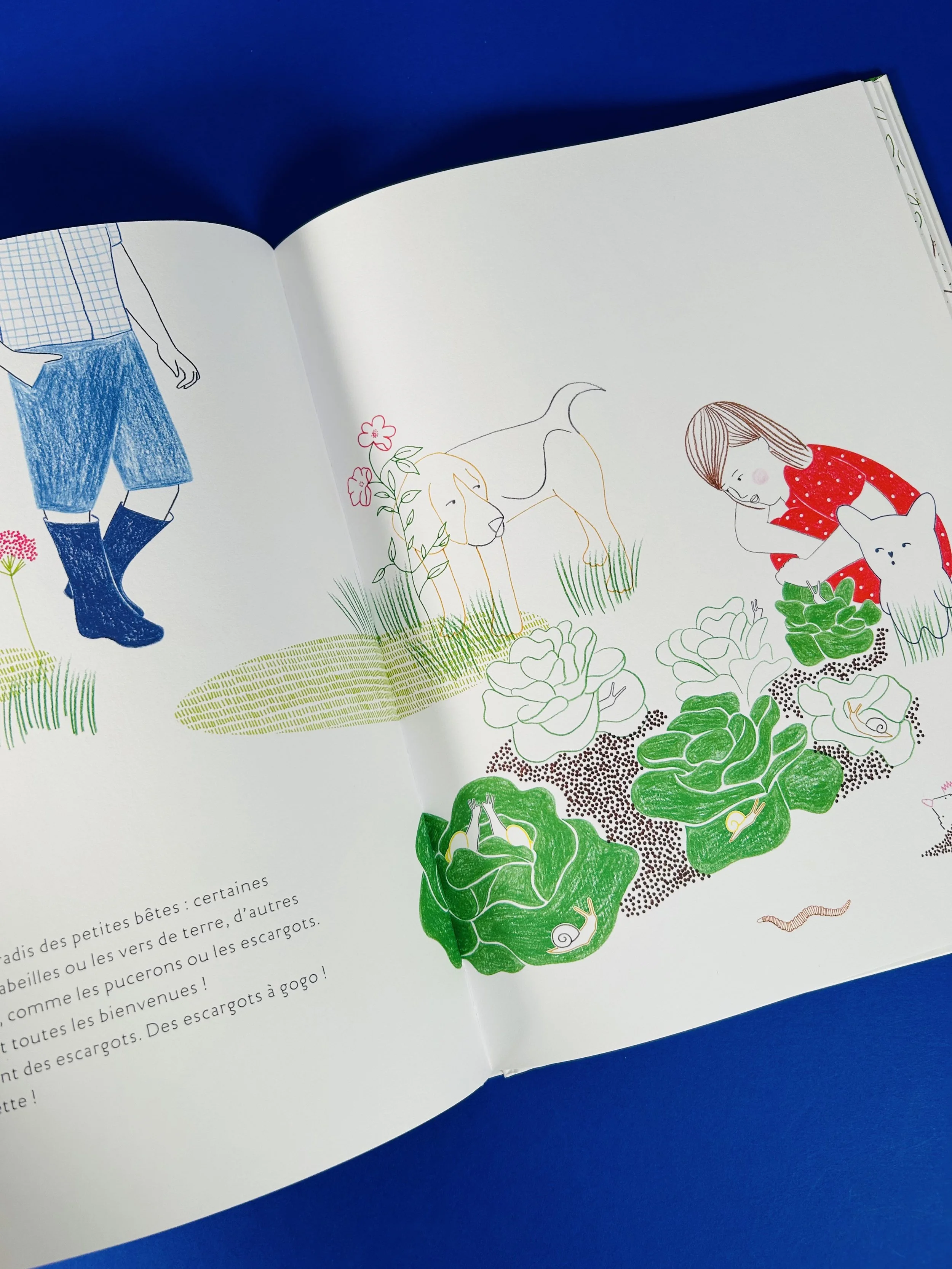 Replay kids_livre_escargots à gogo_4.jpeg