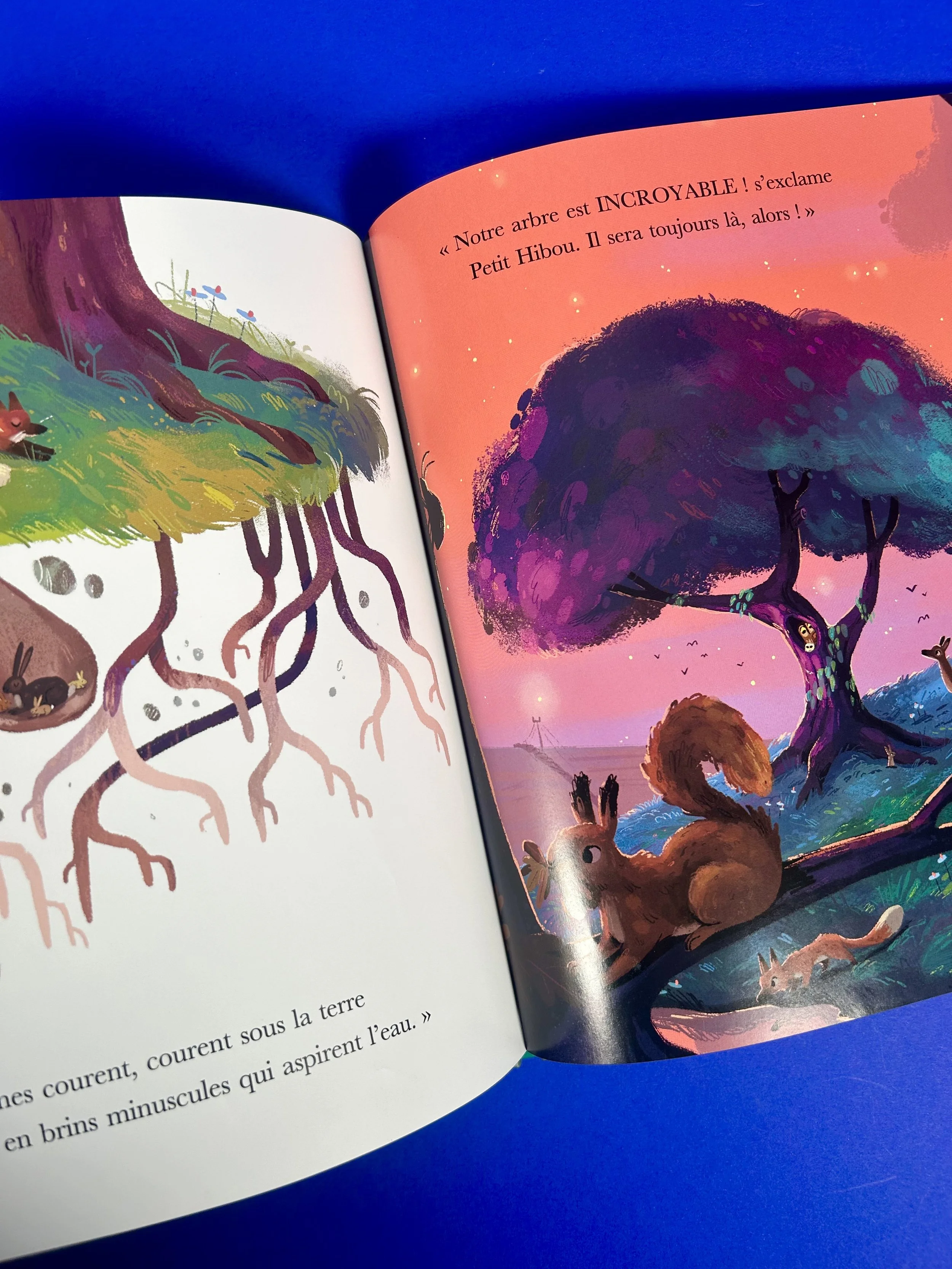 Replay kids_livre_l'arbre aux merveilles_3.jpeg