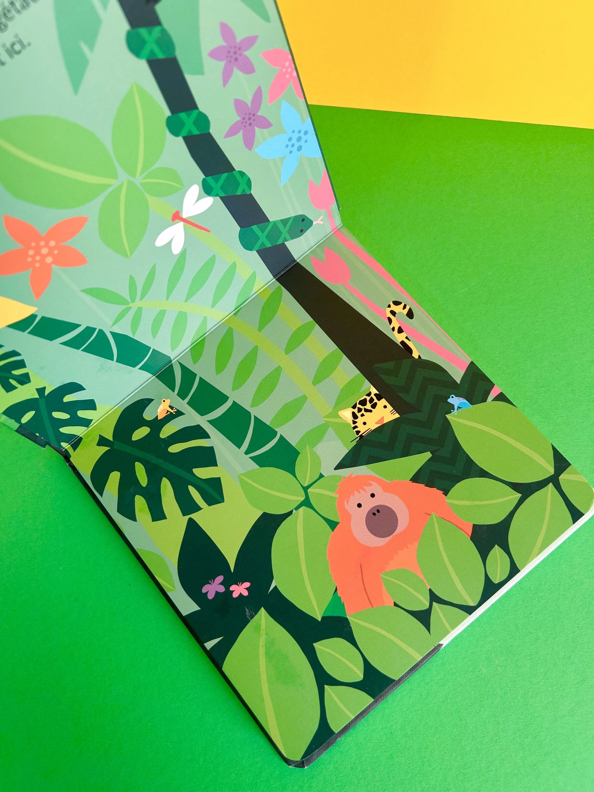 Replay kids_livre_la foret tropical_p'tit écolo_3.jpeg