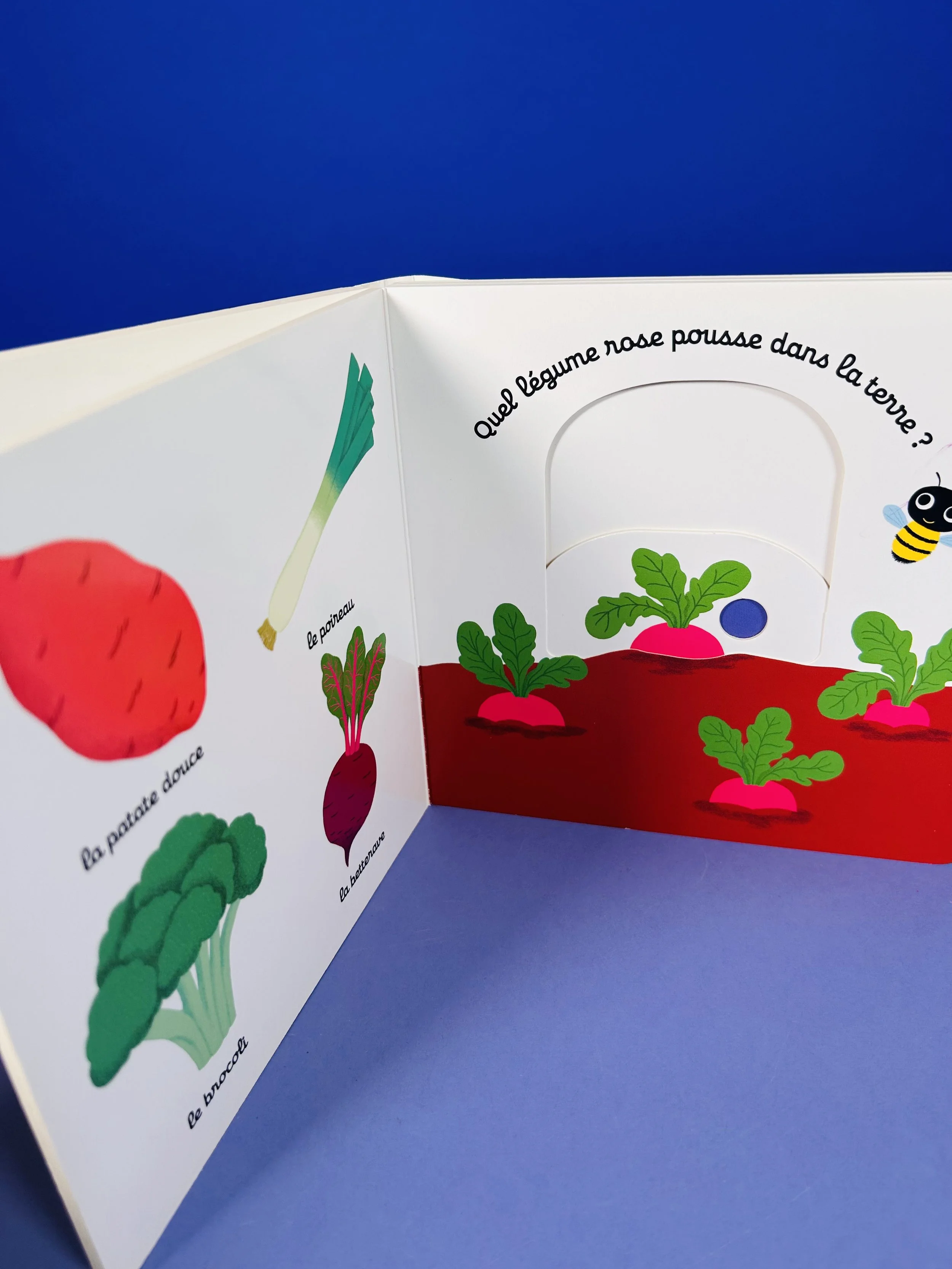 Mon imagier des légumes_3.jpeg