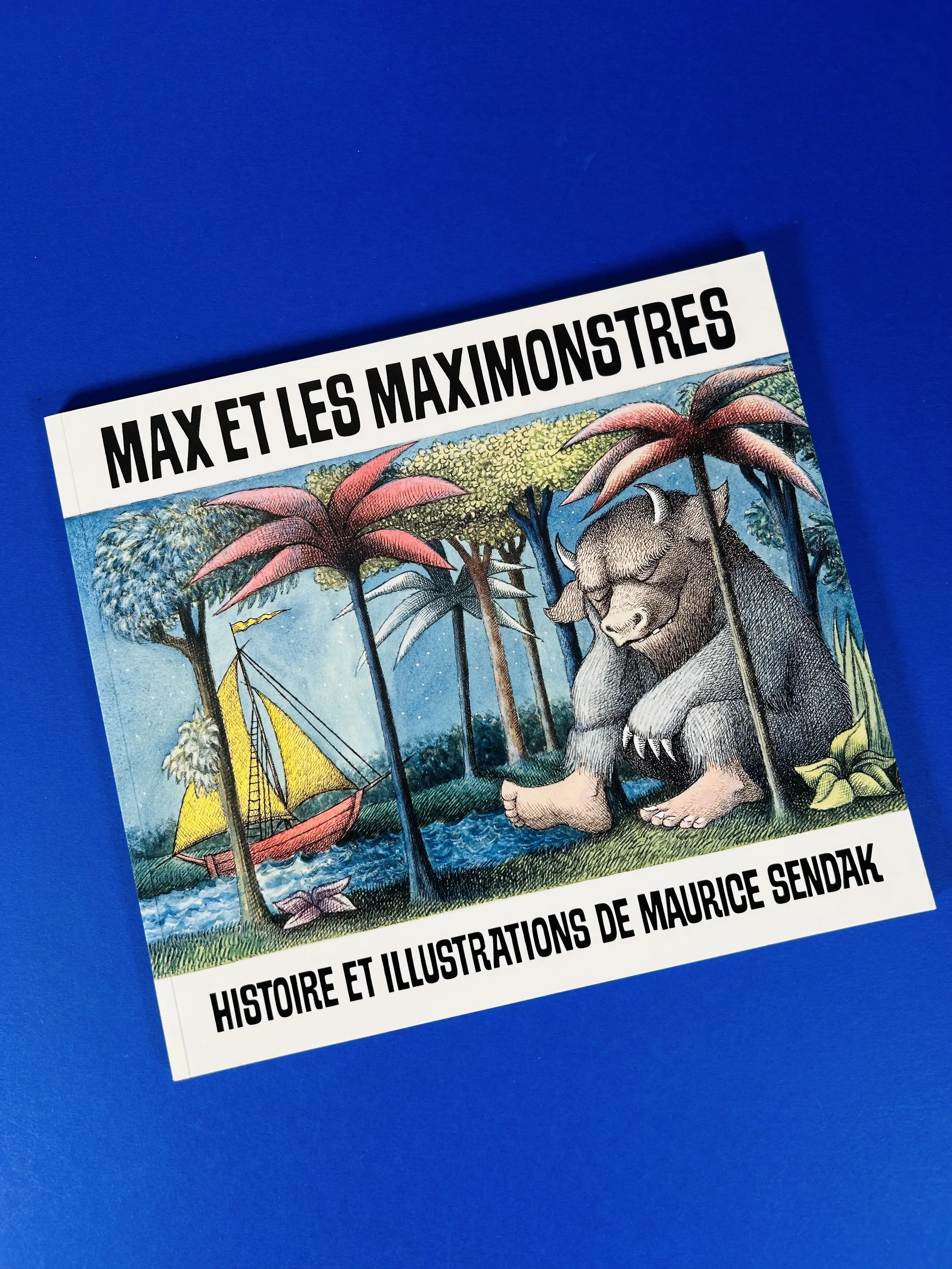 Replay kids_livre_max et les maximonstres_1.jpeg