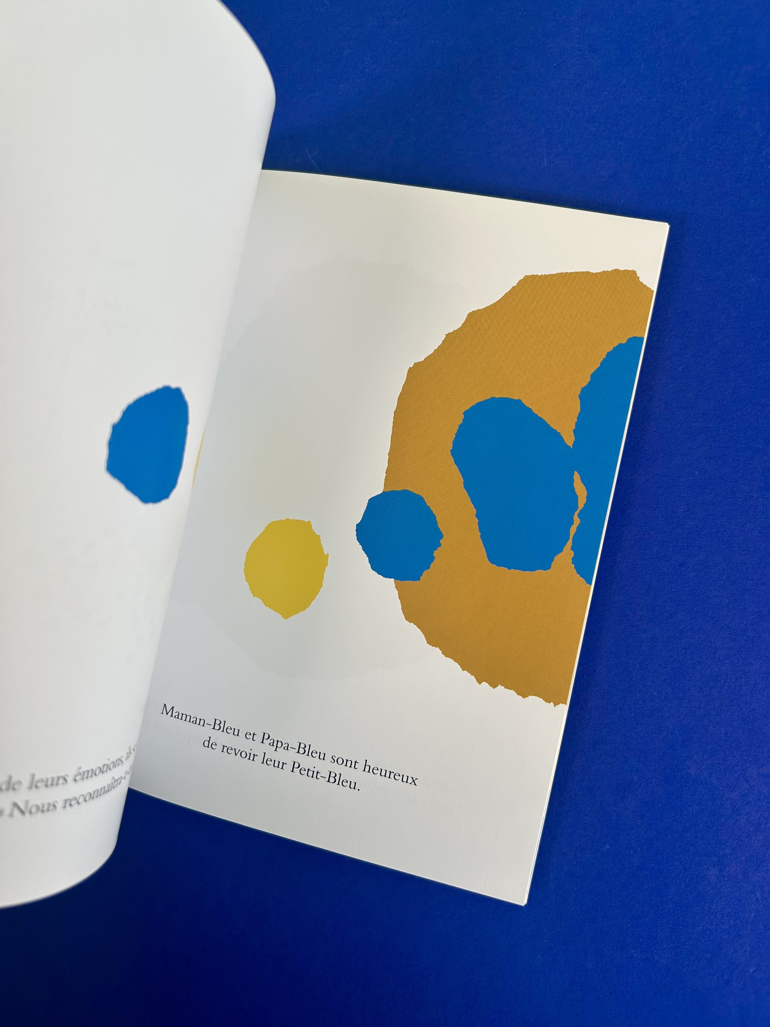 Replay kids_livre_petit bleu et petit jaune_2.jpeg