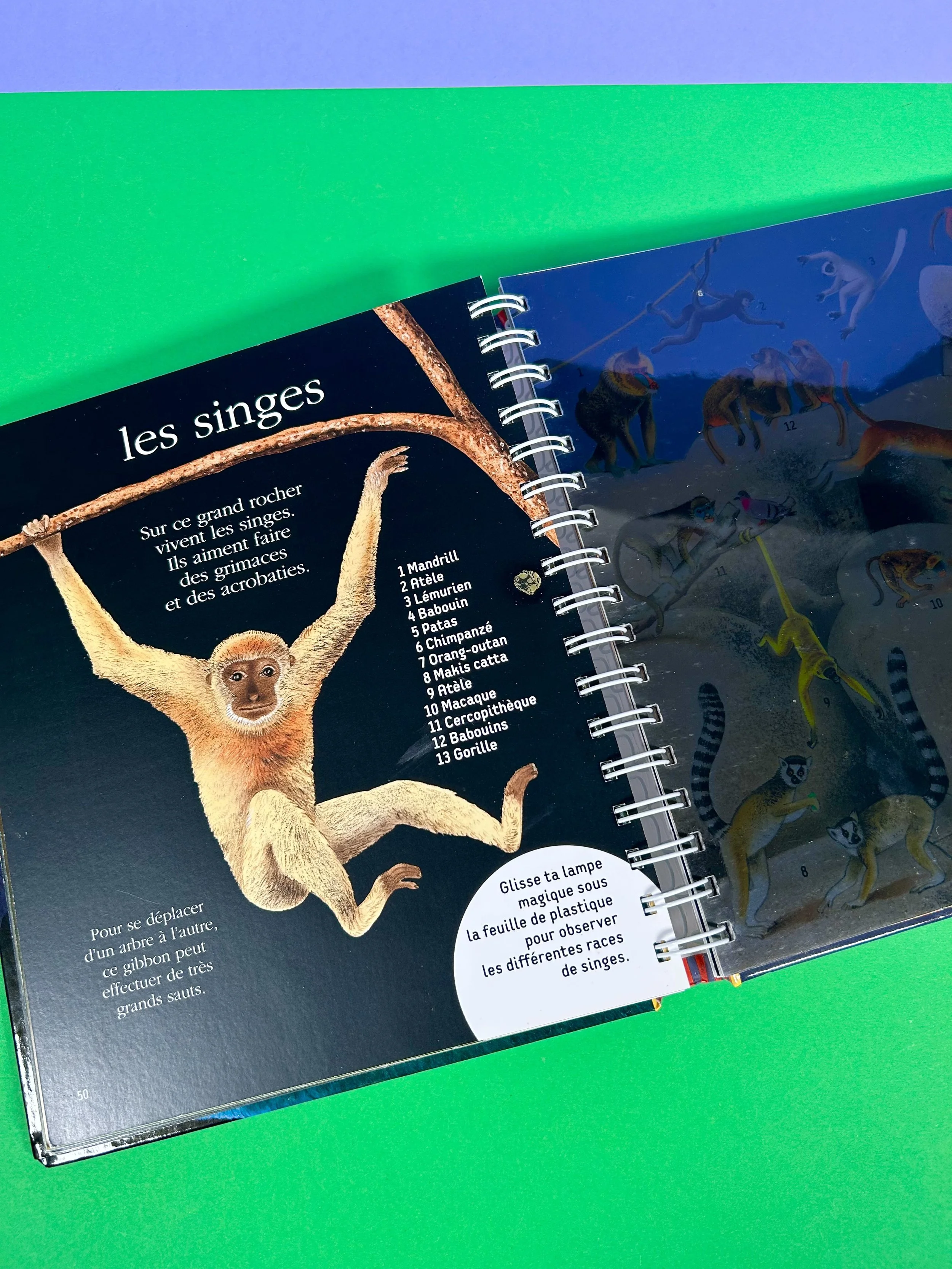 Replay kids_livre_que se passe t il la nuit?_6.jpeg