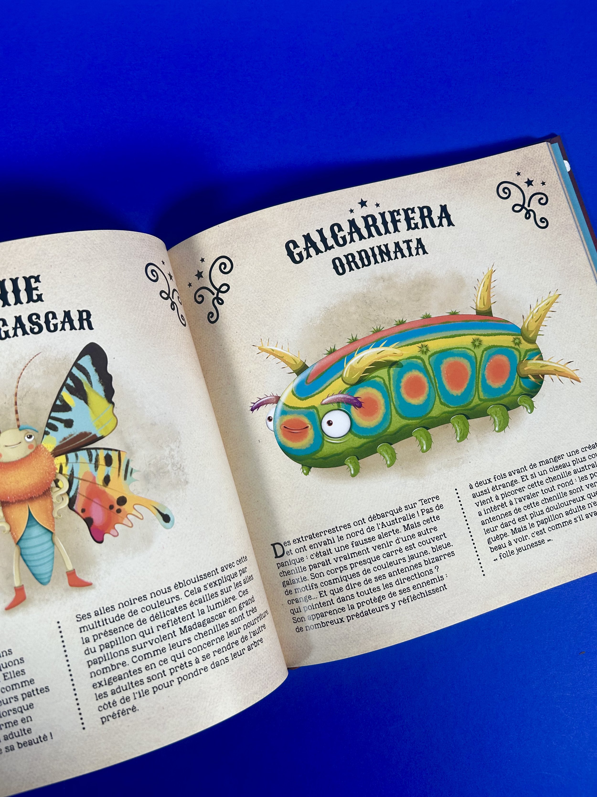 Replay kids_livre_incoyable animaux du monde_8.jpeg