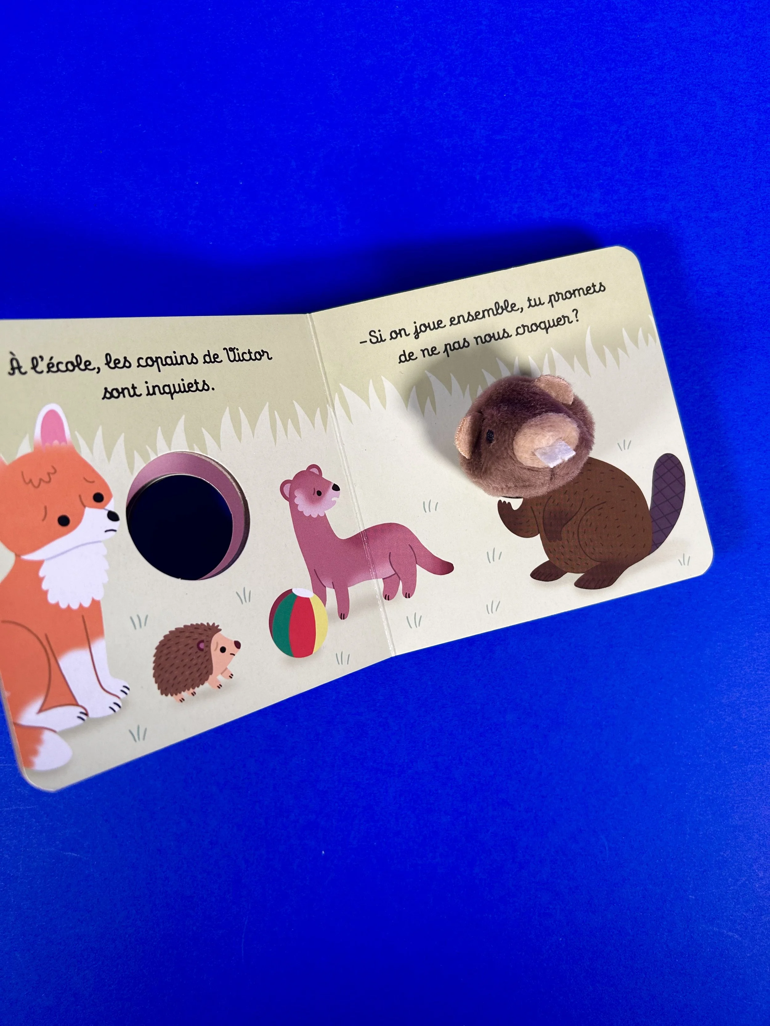 Replay kids_livre_victor le castor_3.jpeg