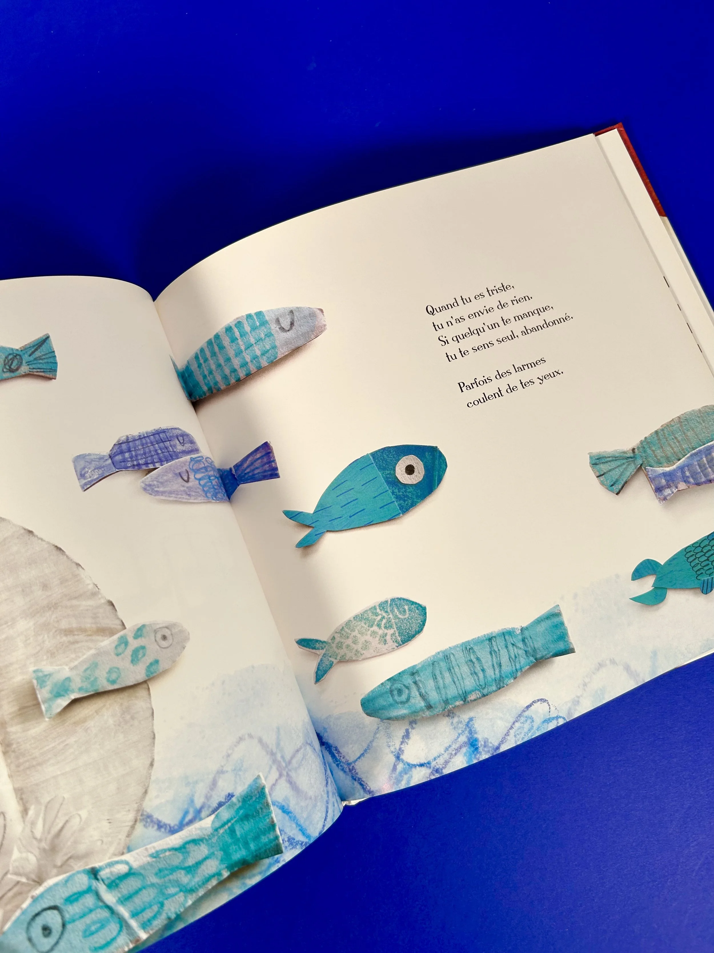 Replay kids_livre_la couleur des émotions_3.jpeg