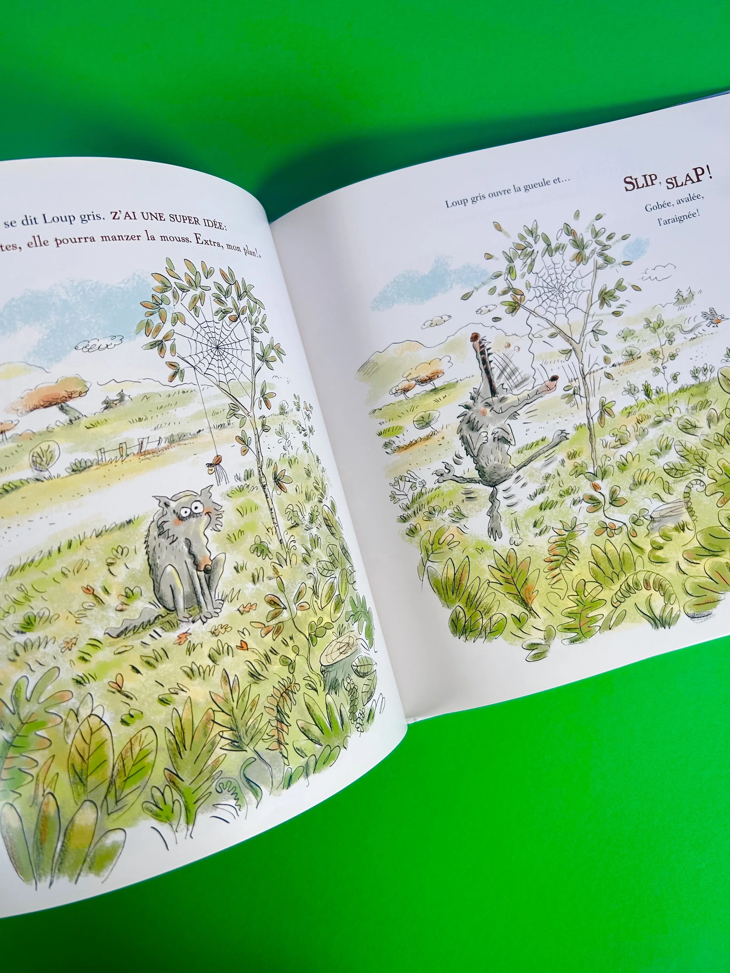 Replay kids_Loup gris et la mouche_Didier jeunesse_4.jpeg