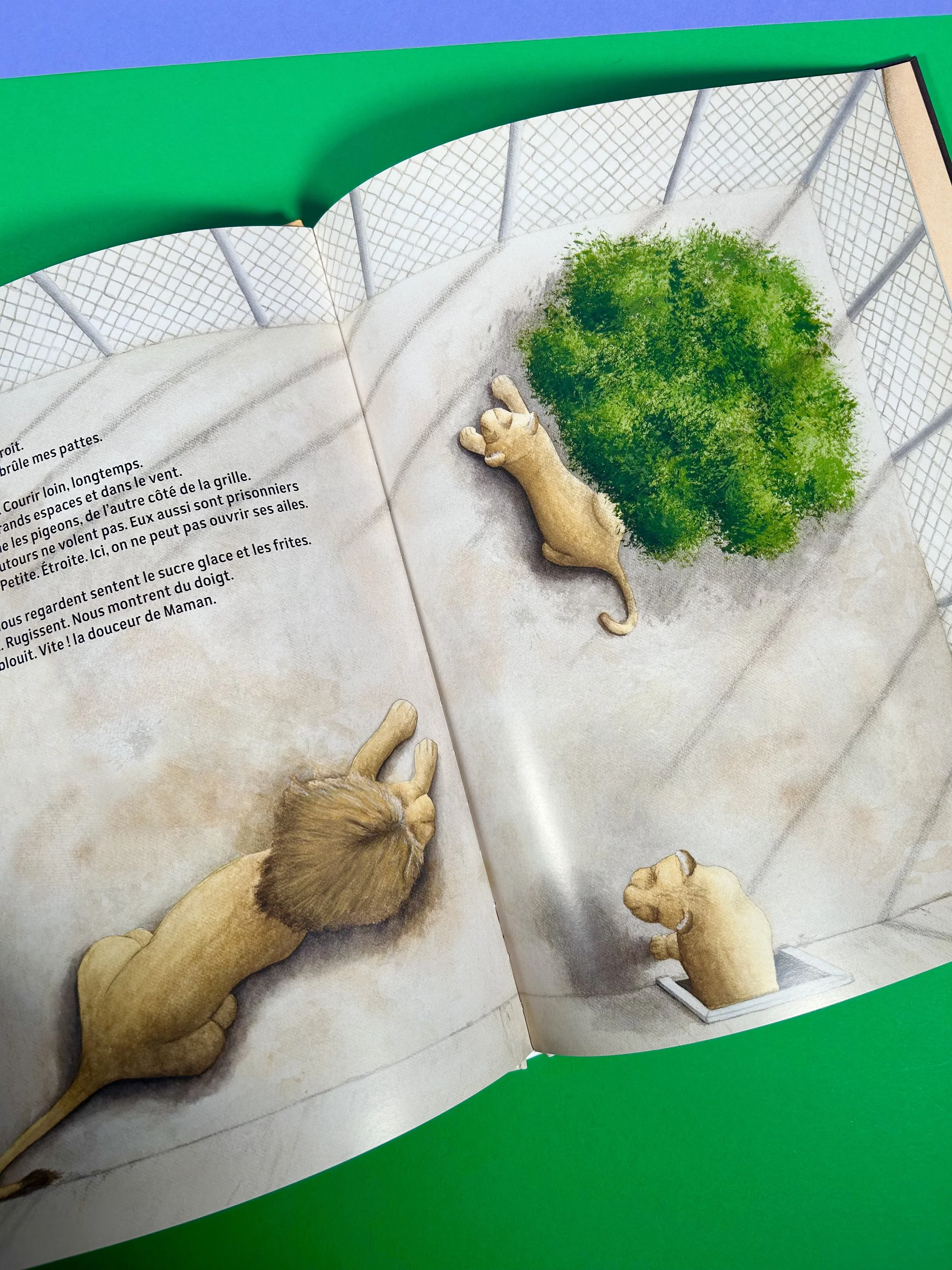 Replay kids_livre_houriya_4.jpeg