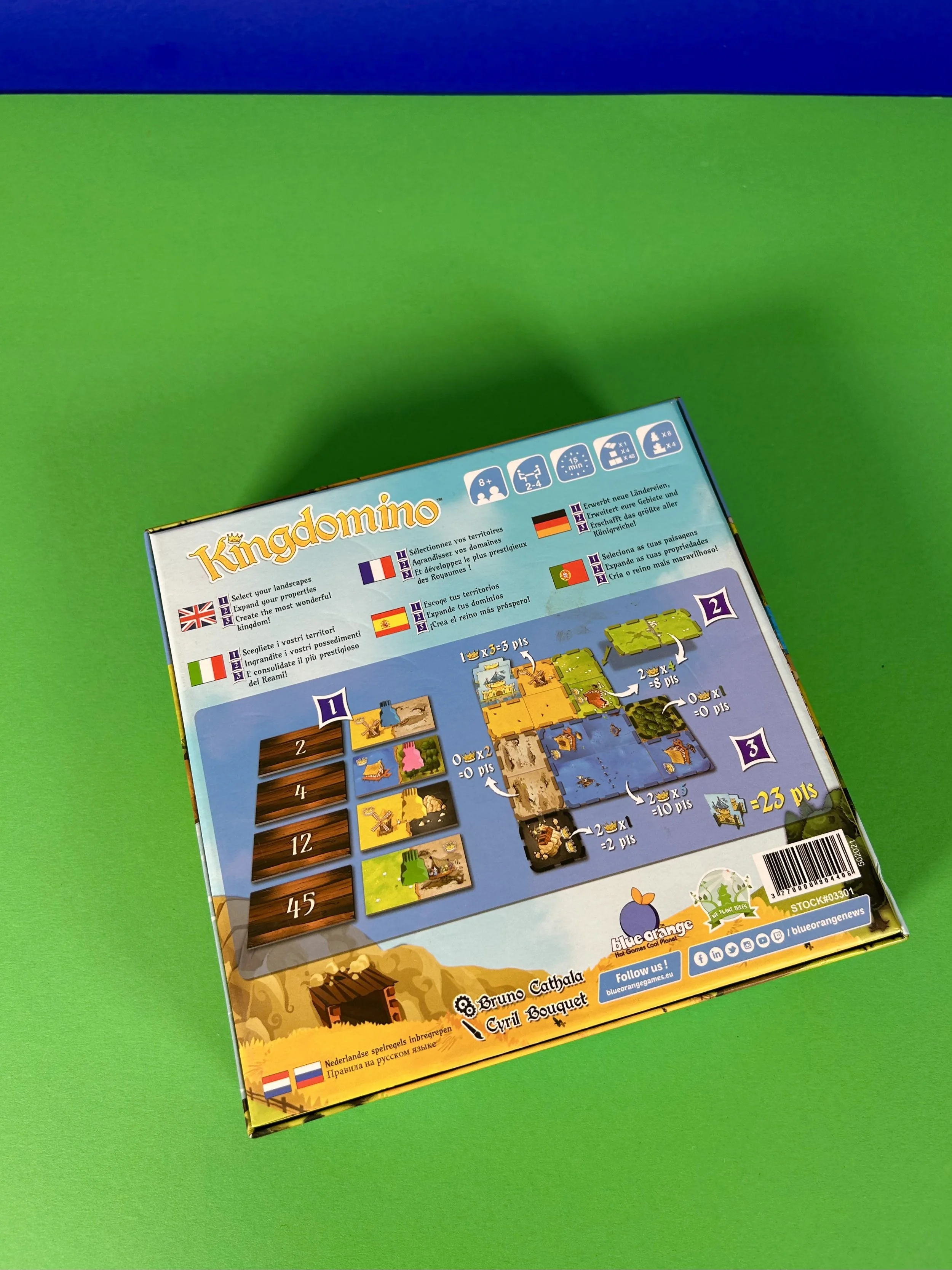 Replay kids_Kingdomino_2.jpeg