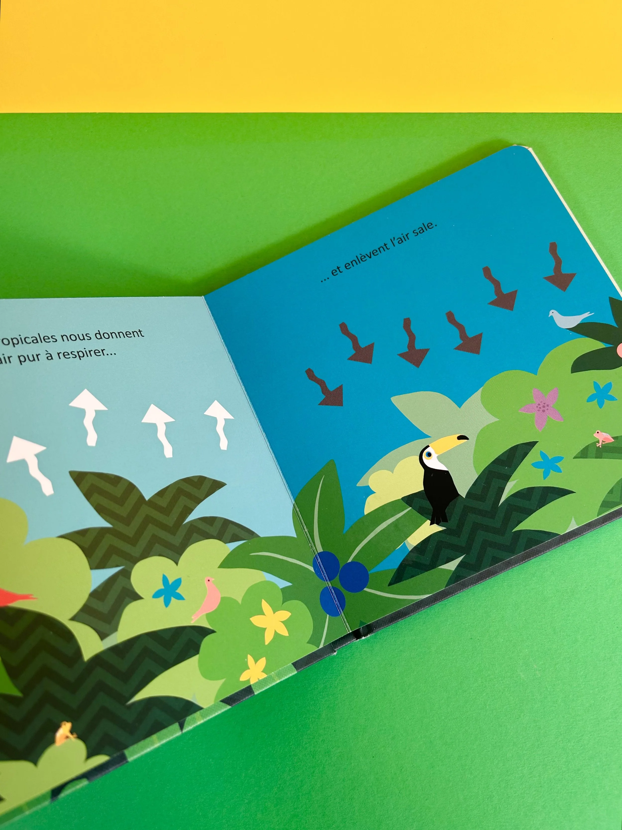 Replay kids_livre_la foret tropical_p'tit écolo_4.jpeg