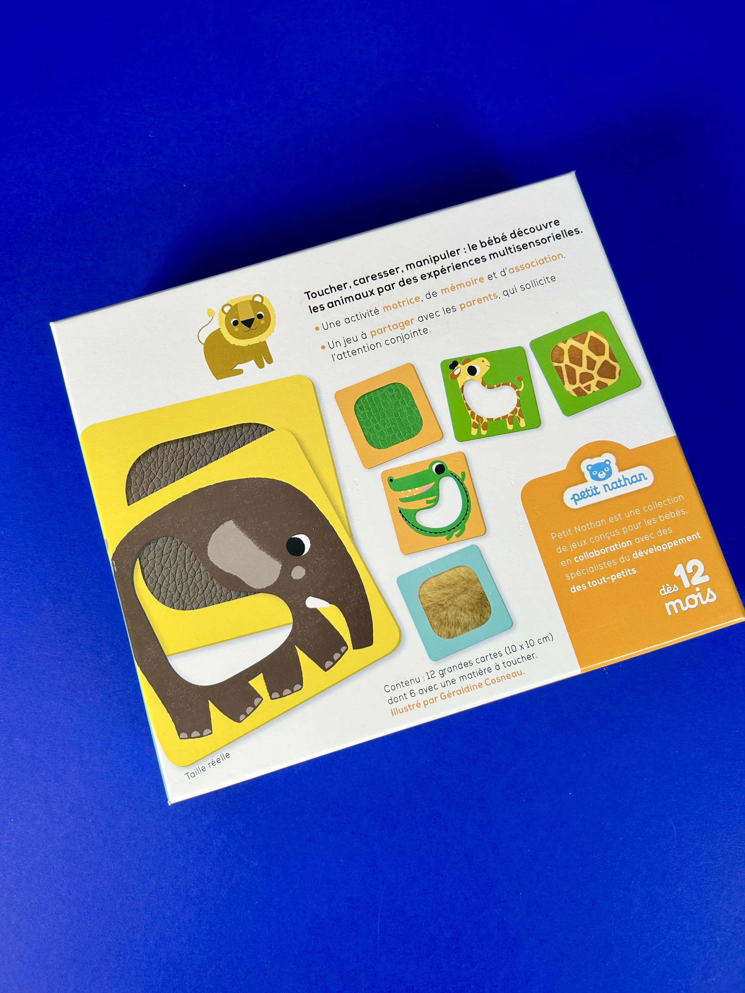 Replay kids_Les aimaux à toucher_2.jpeg