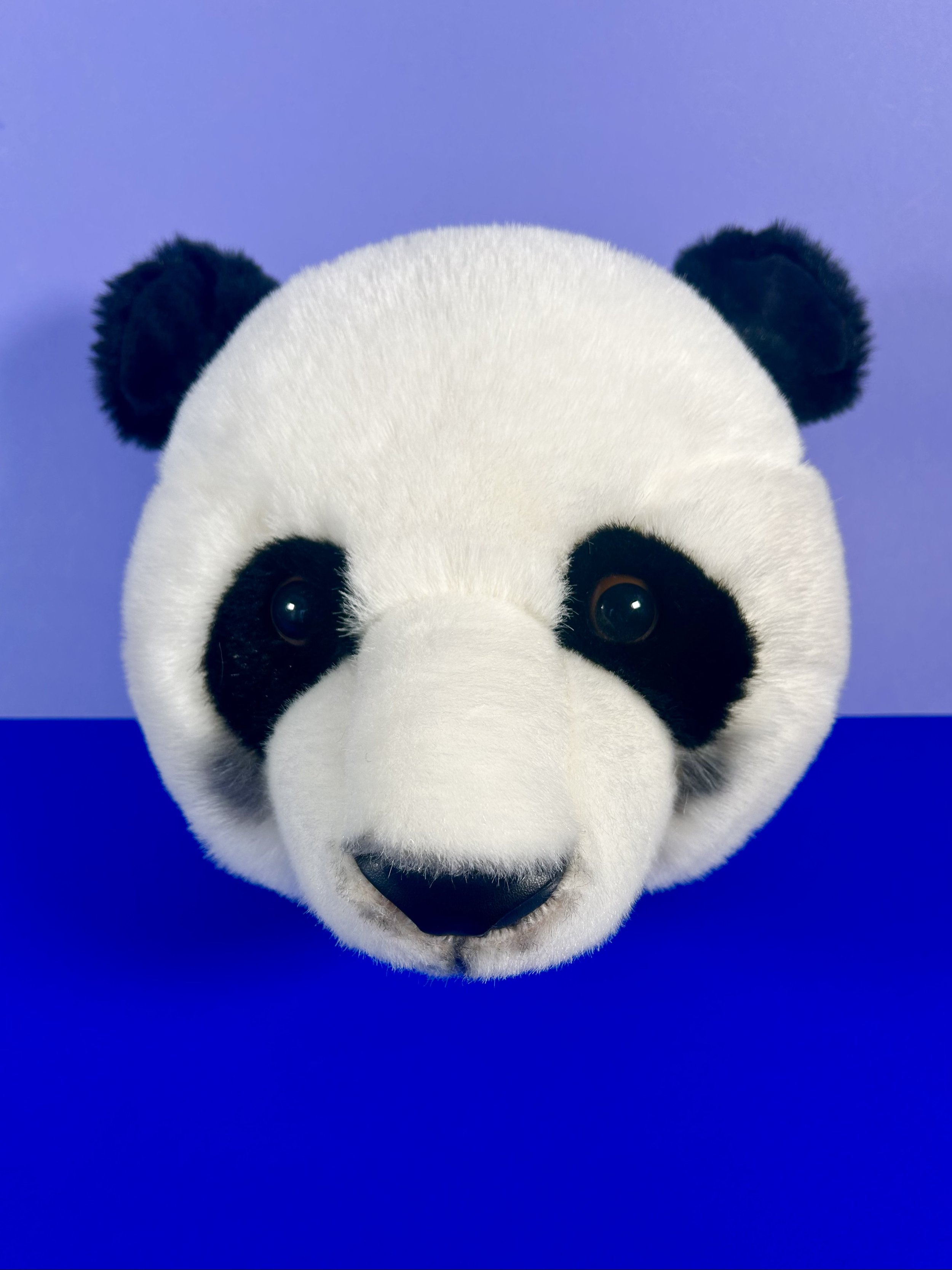 Replay kids_tête trophé panda_4.jpeg