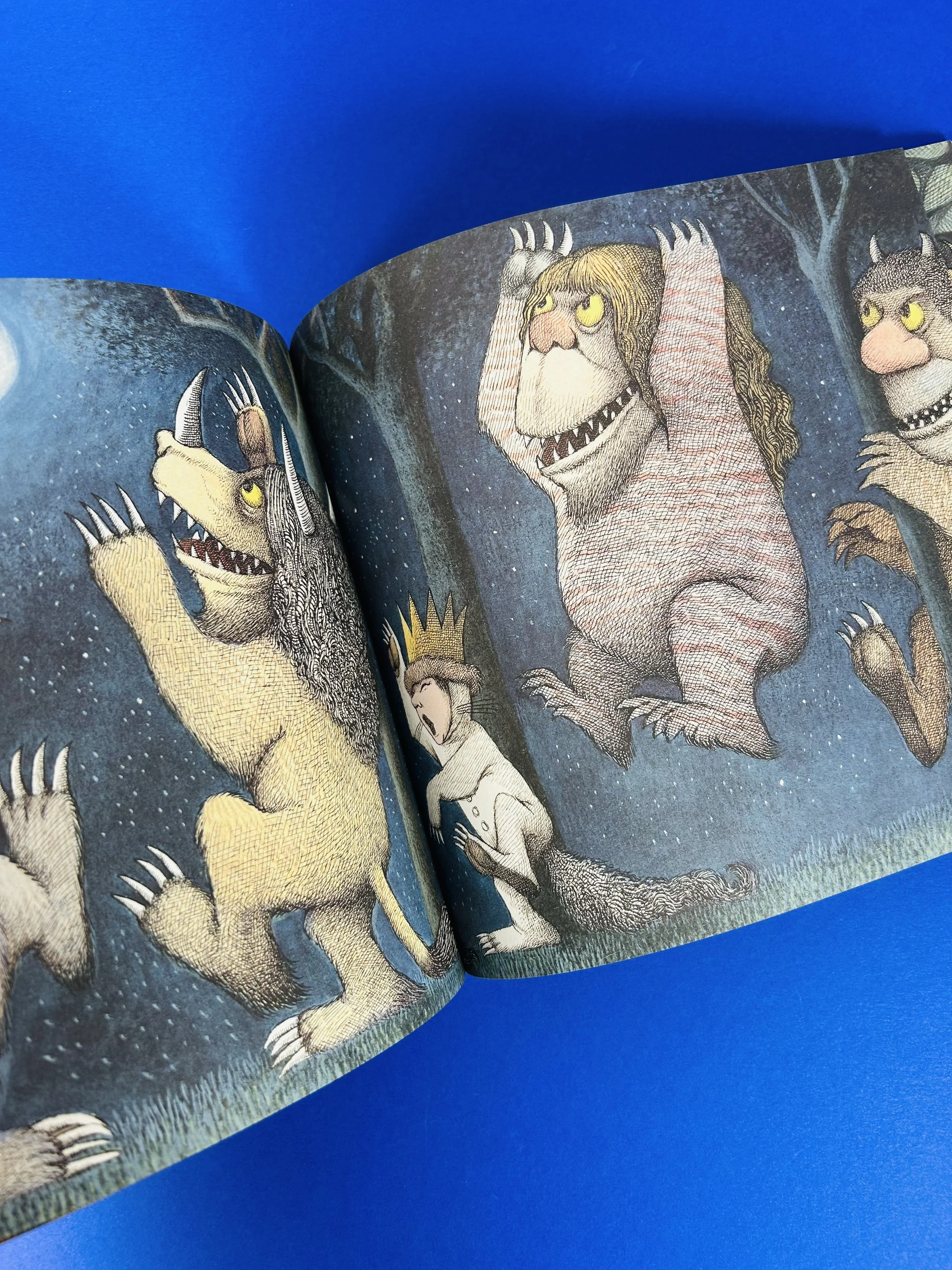 Replay kids_livre_max et les maximonstres_2.jpeg