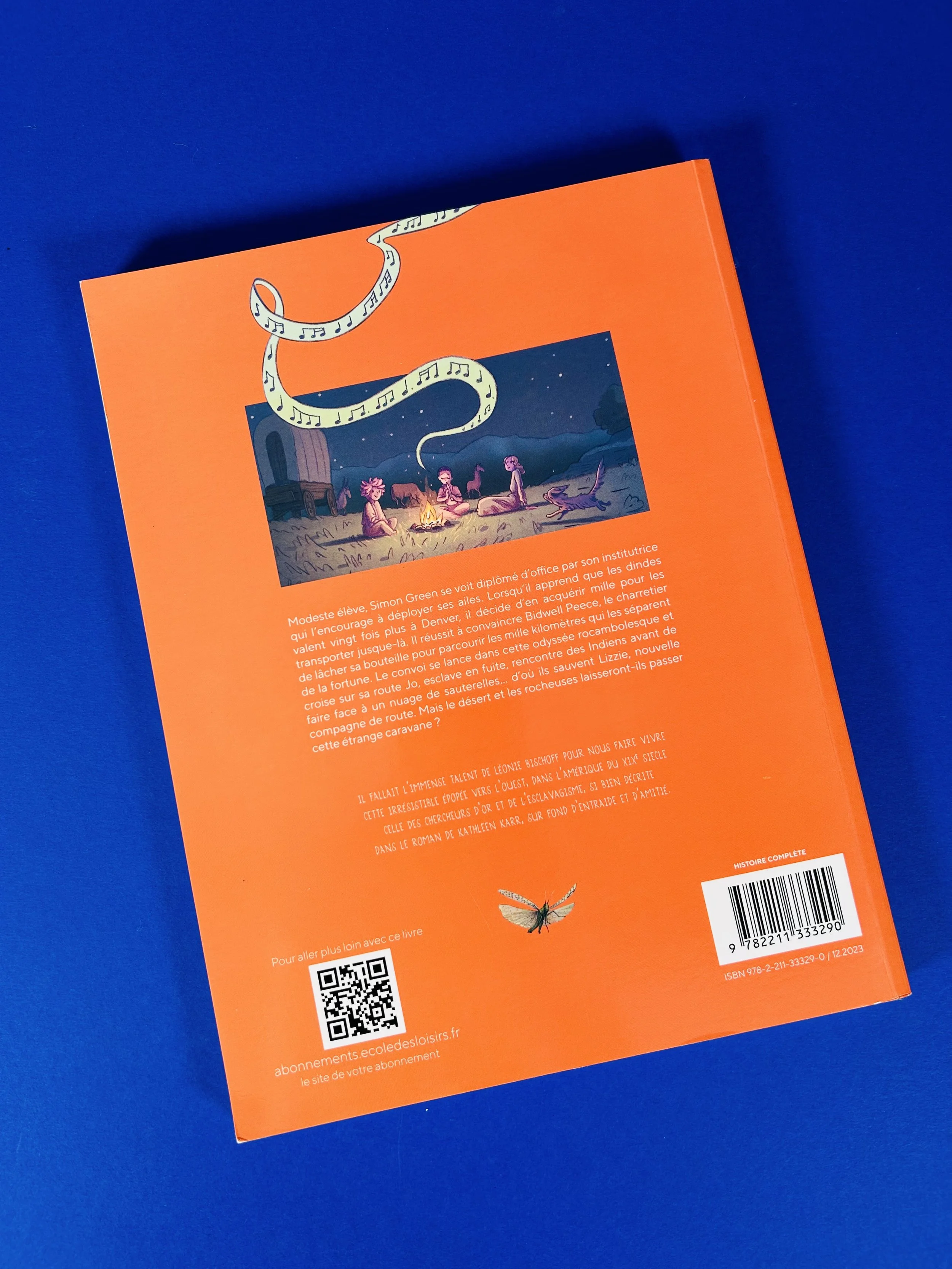 Replay kids_livre_la longue marche des dindes_2.jpeg