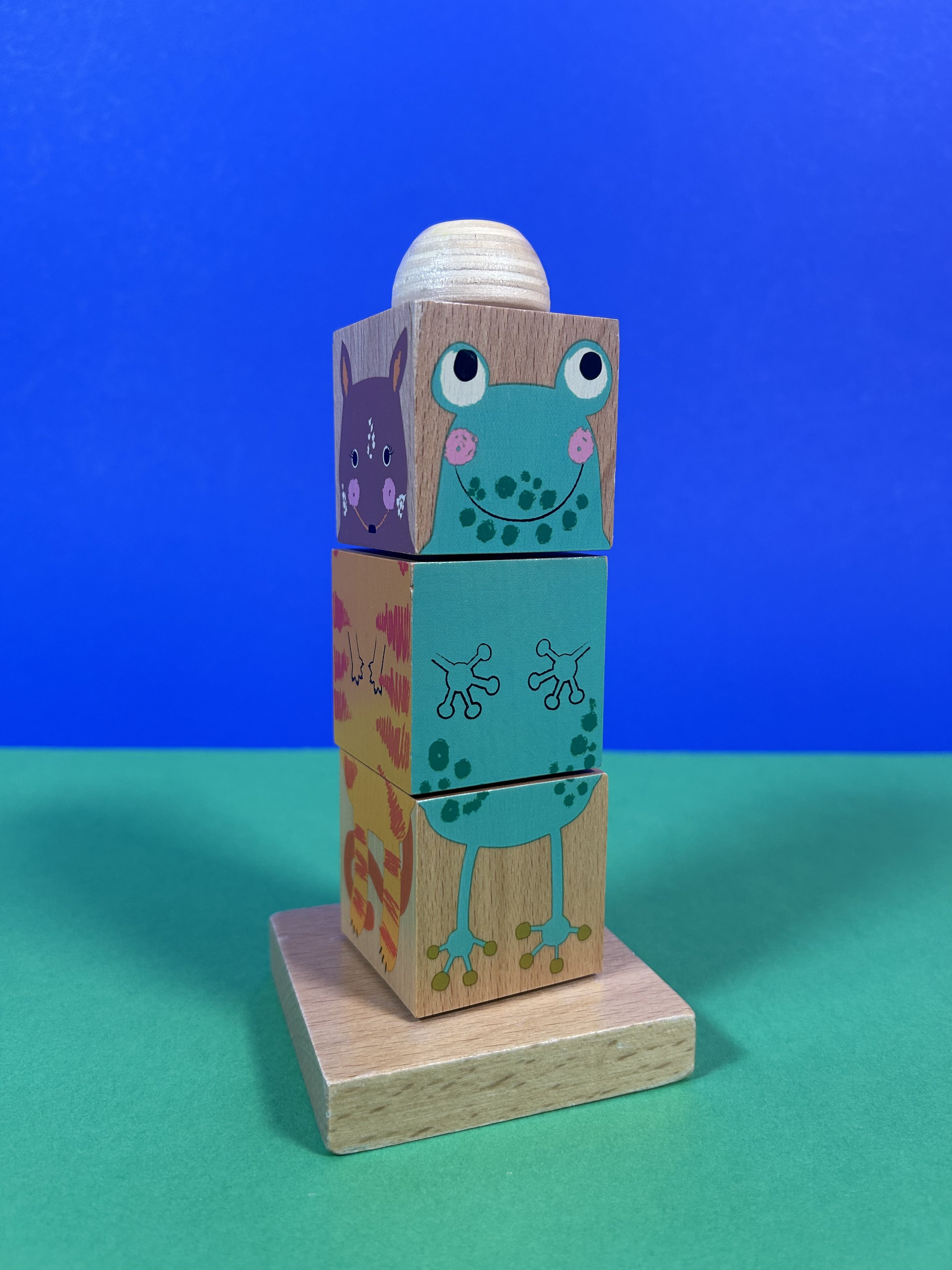 Replay_tour cubes animaux_3.jpeg