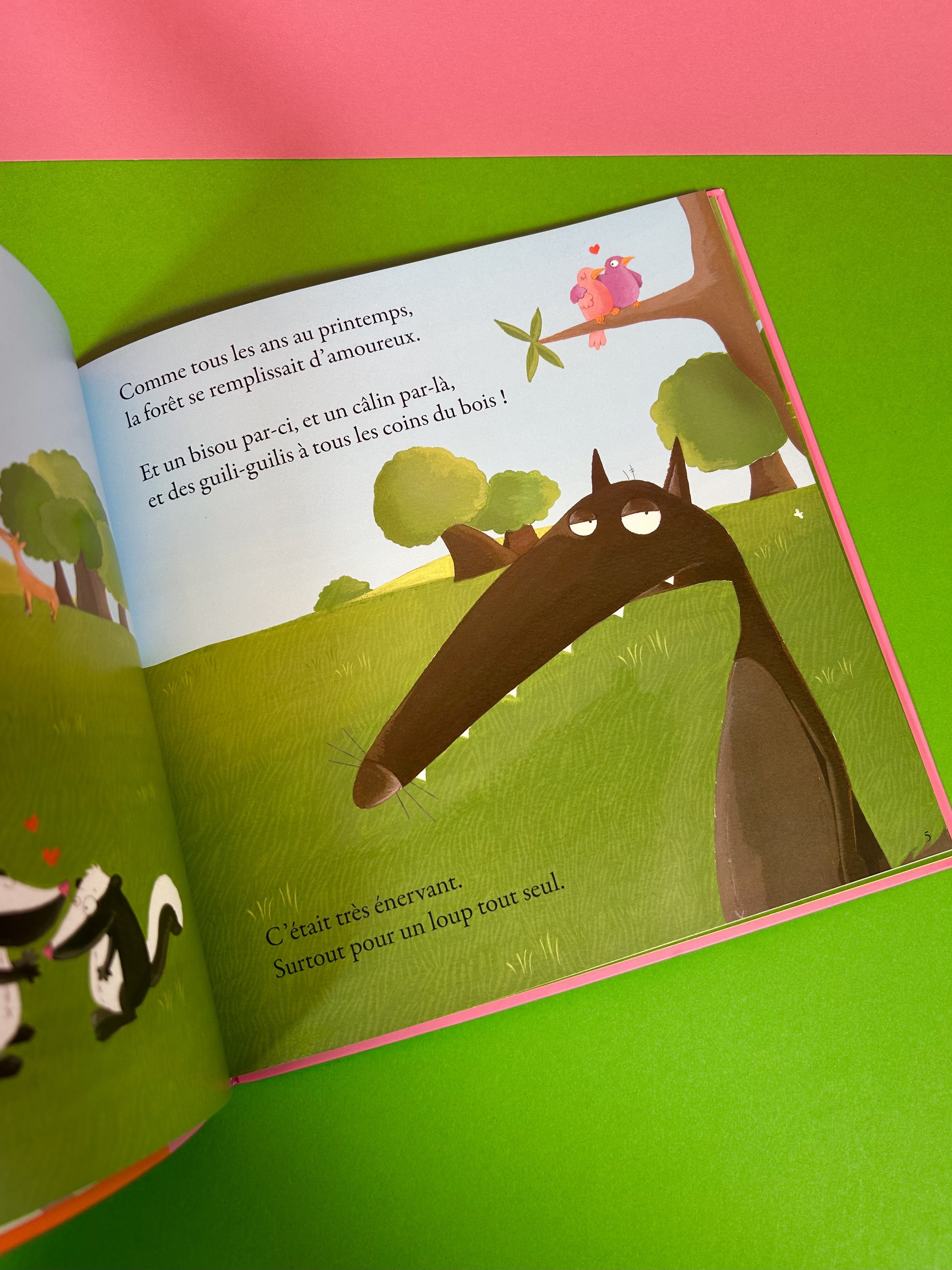 Replay kids_Livre_Le loup qui cherchait une amoureuse_2.jpeg