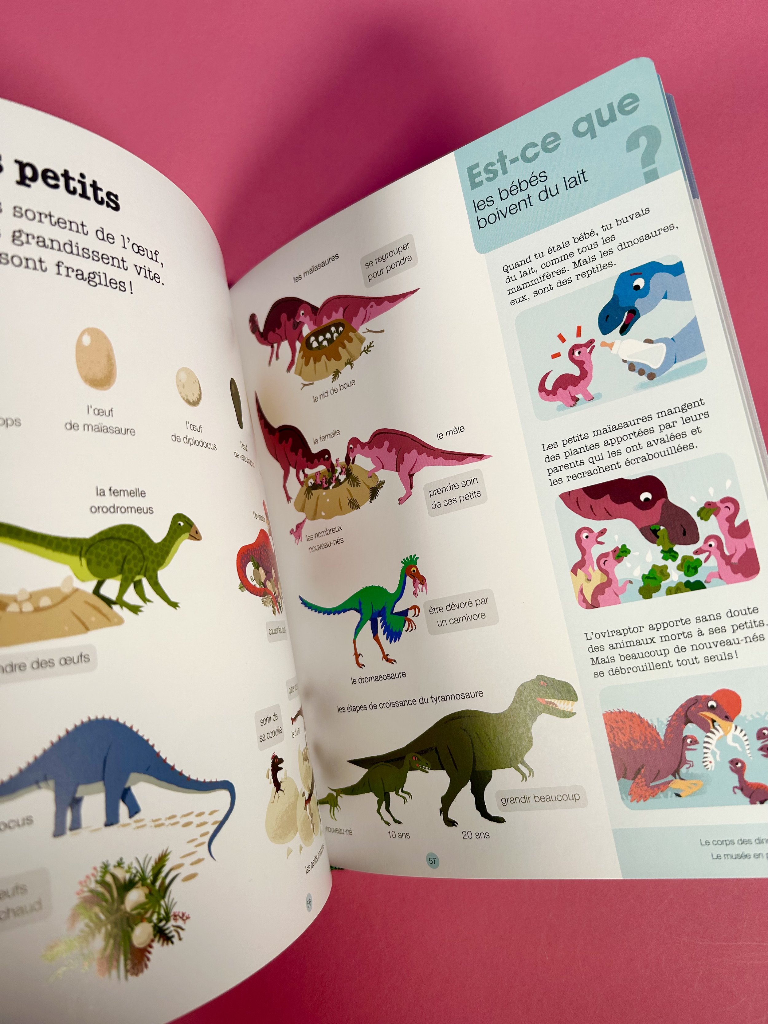 Replay kids_livre_les dinosaures_4.jpeg