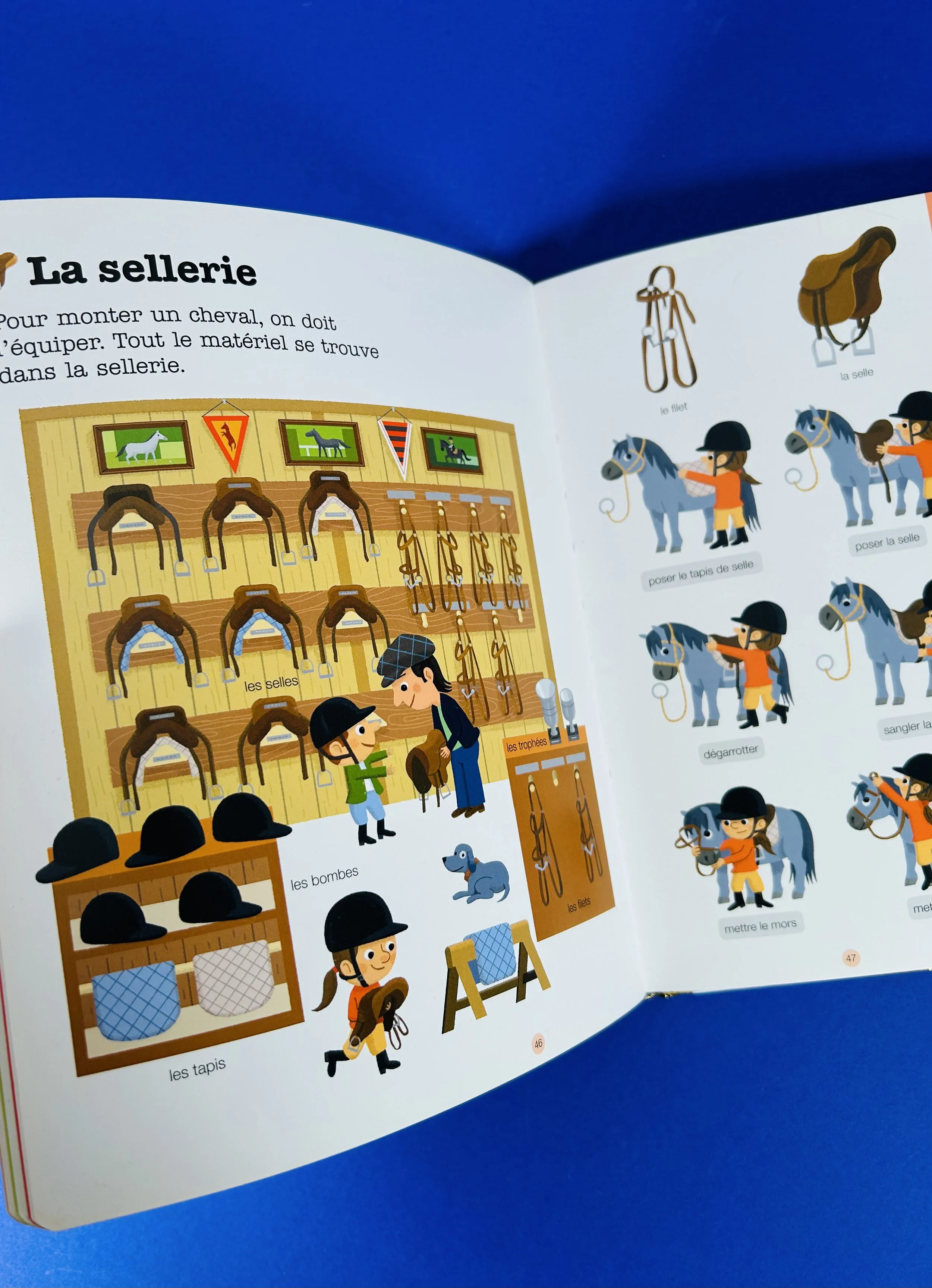 Replay kids_livre_poney et chevaux_5.jpeg