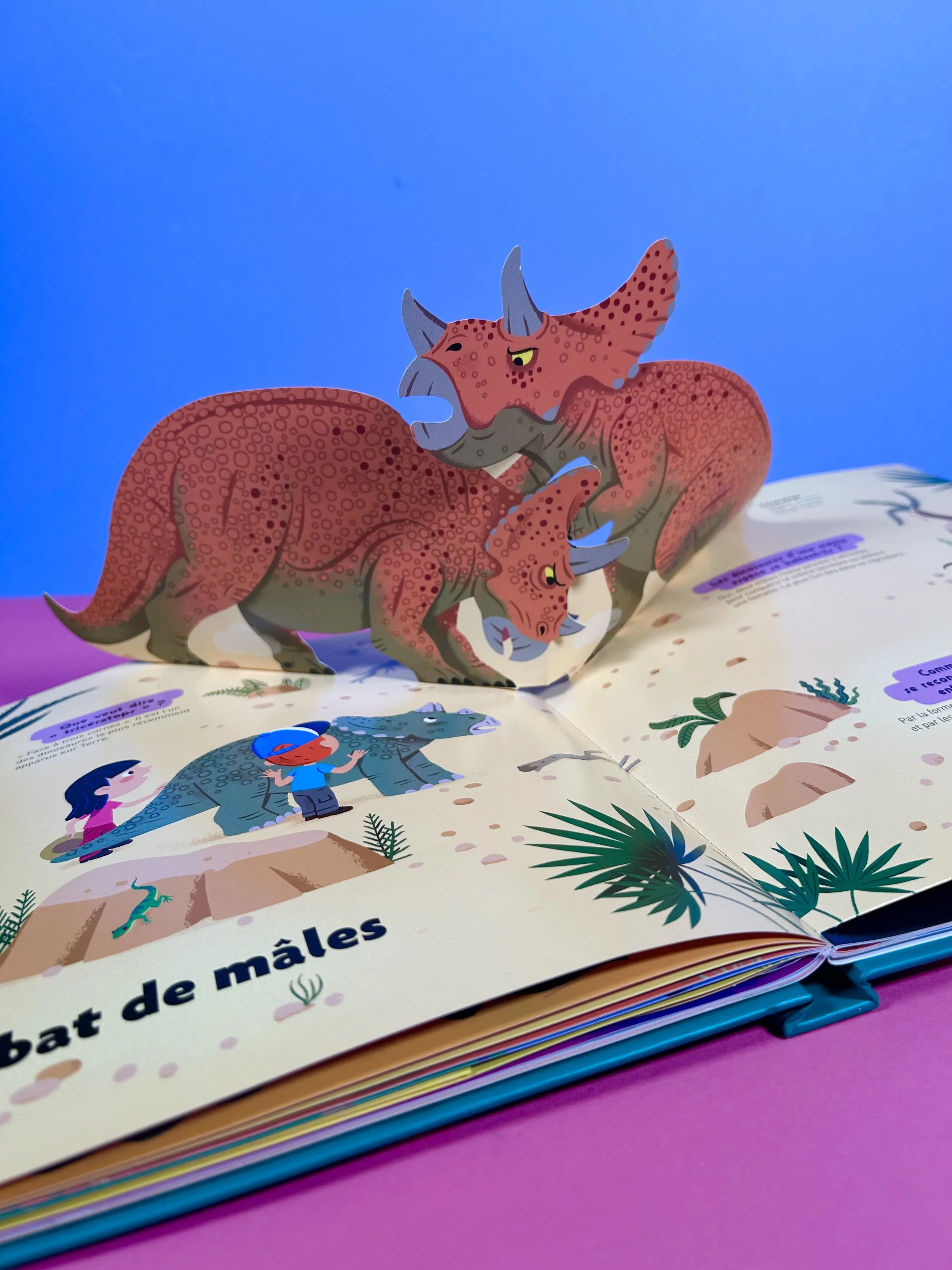 Replay kids_livre_kididoc des dinosaures_7.jpeg