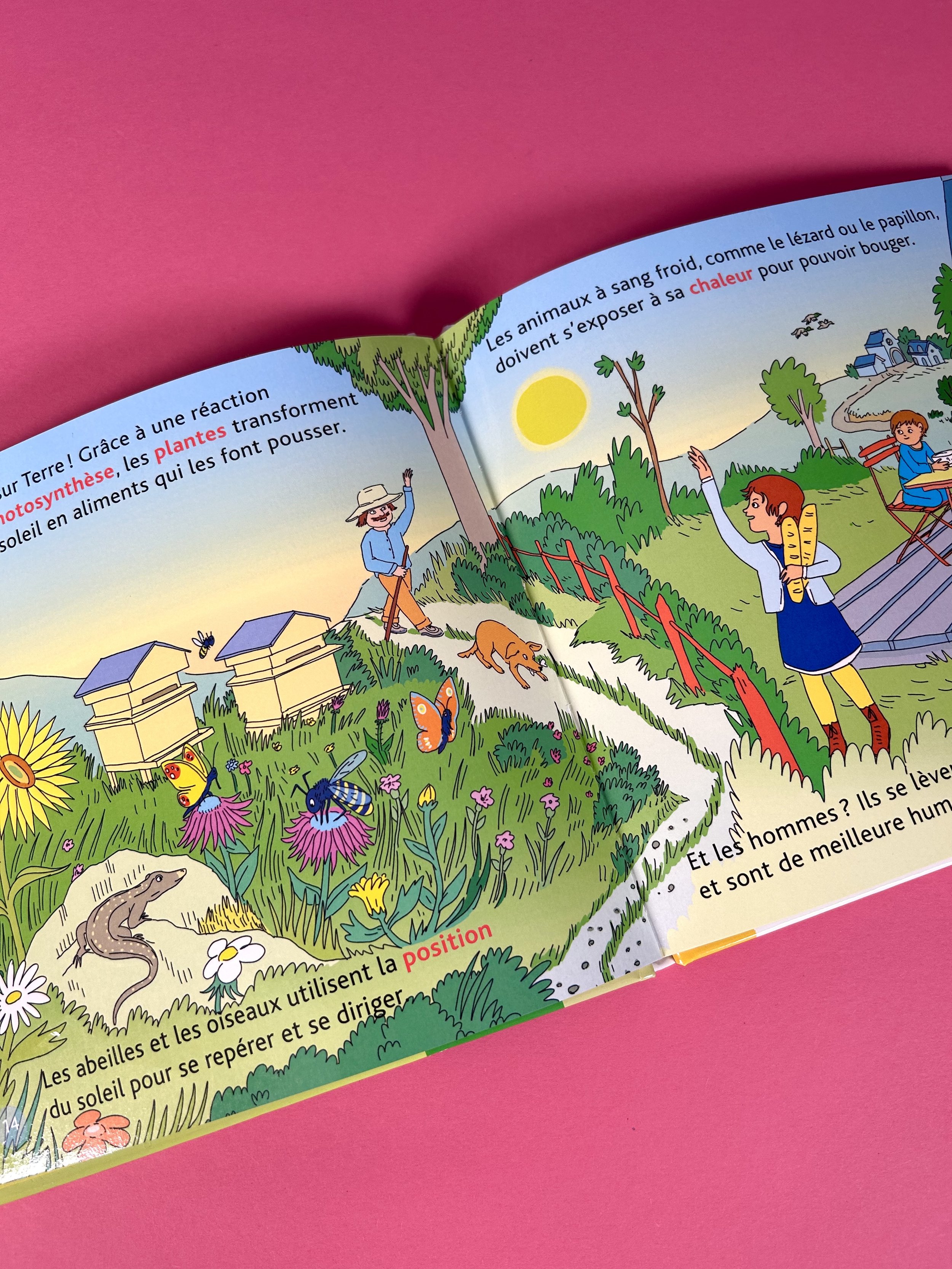 Replay kids_p'tits docs_le soleil_3.jpeg