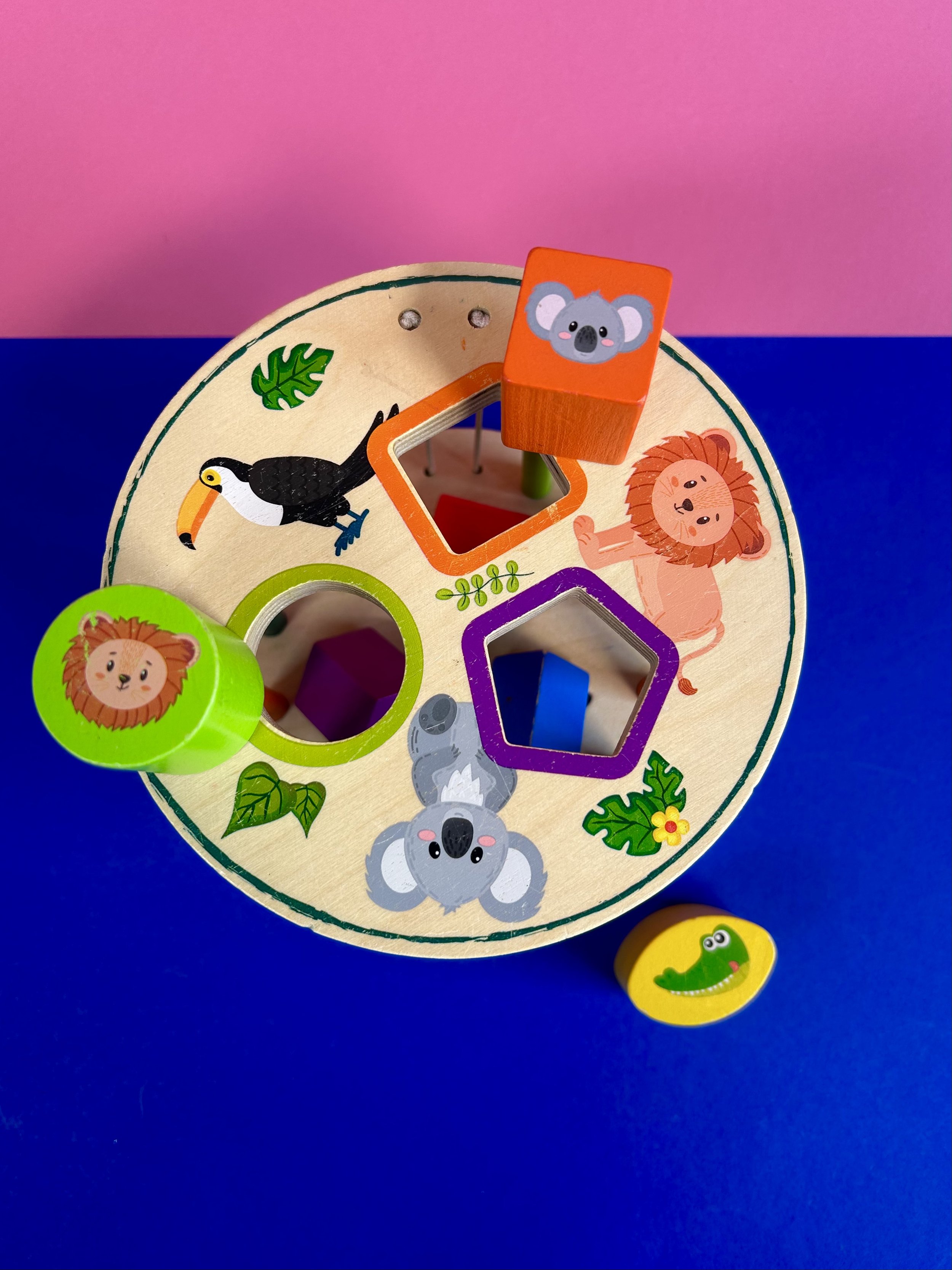 Replay kids_tortue à tirer_3.jpeg