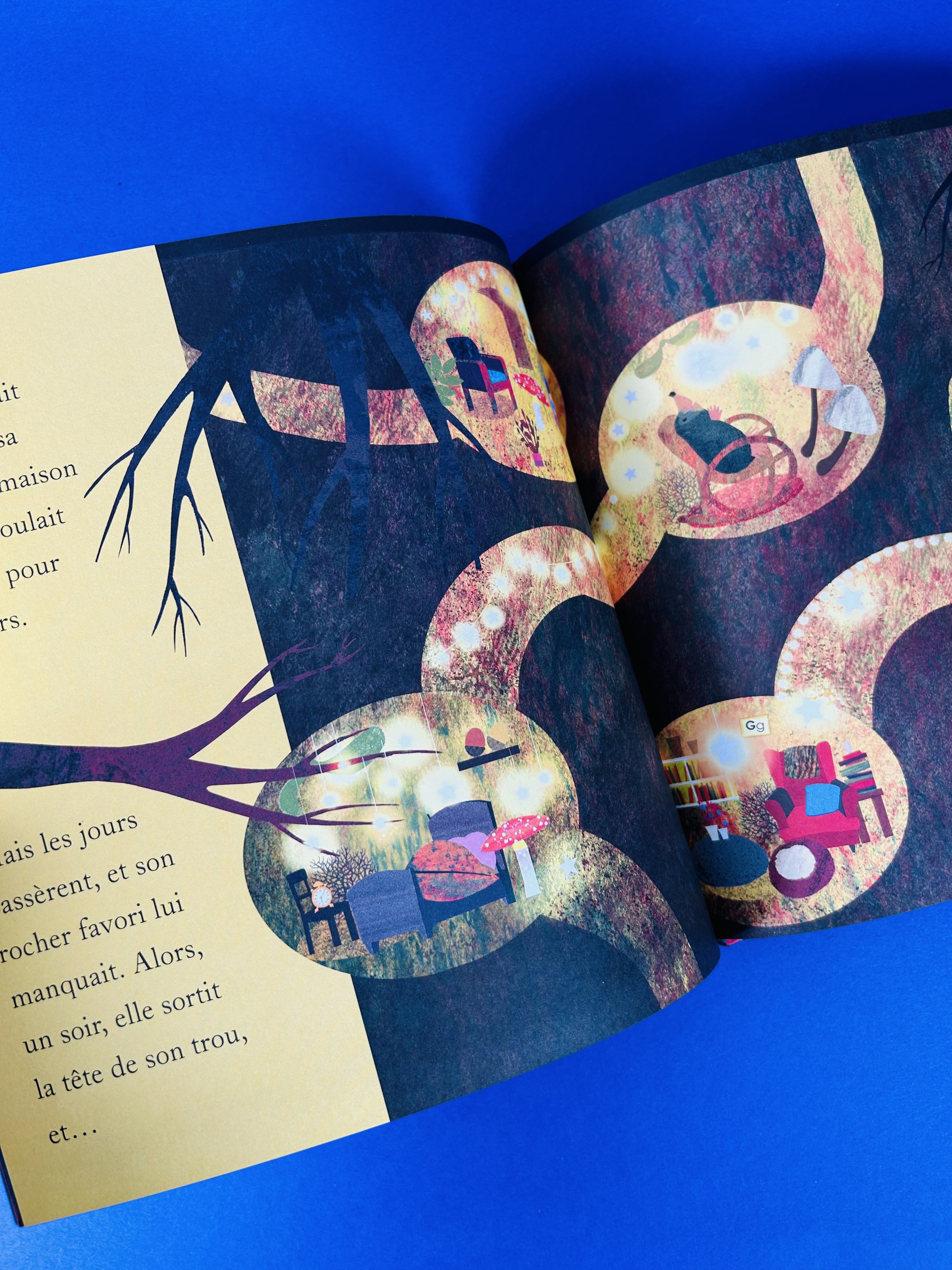 Replay kids_livre_la bonne étoile de taupe_5.jpeg