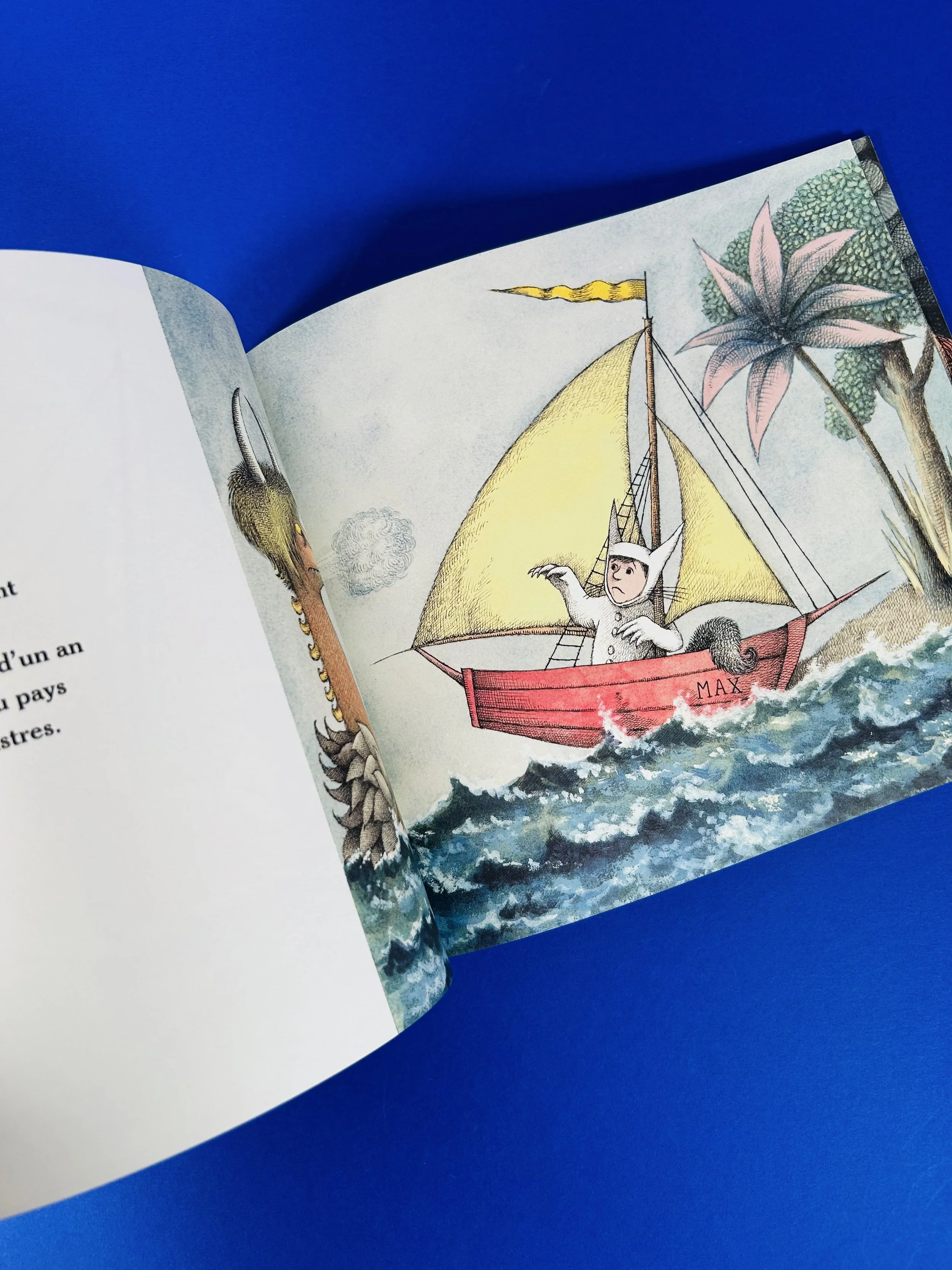 Replay kids_livre_max et les maximonstres_4.jpeg