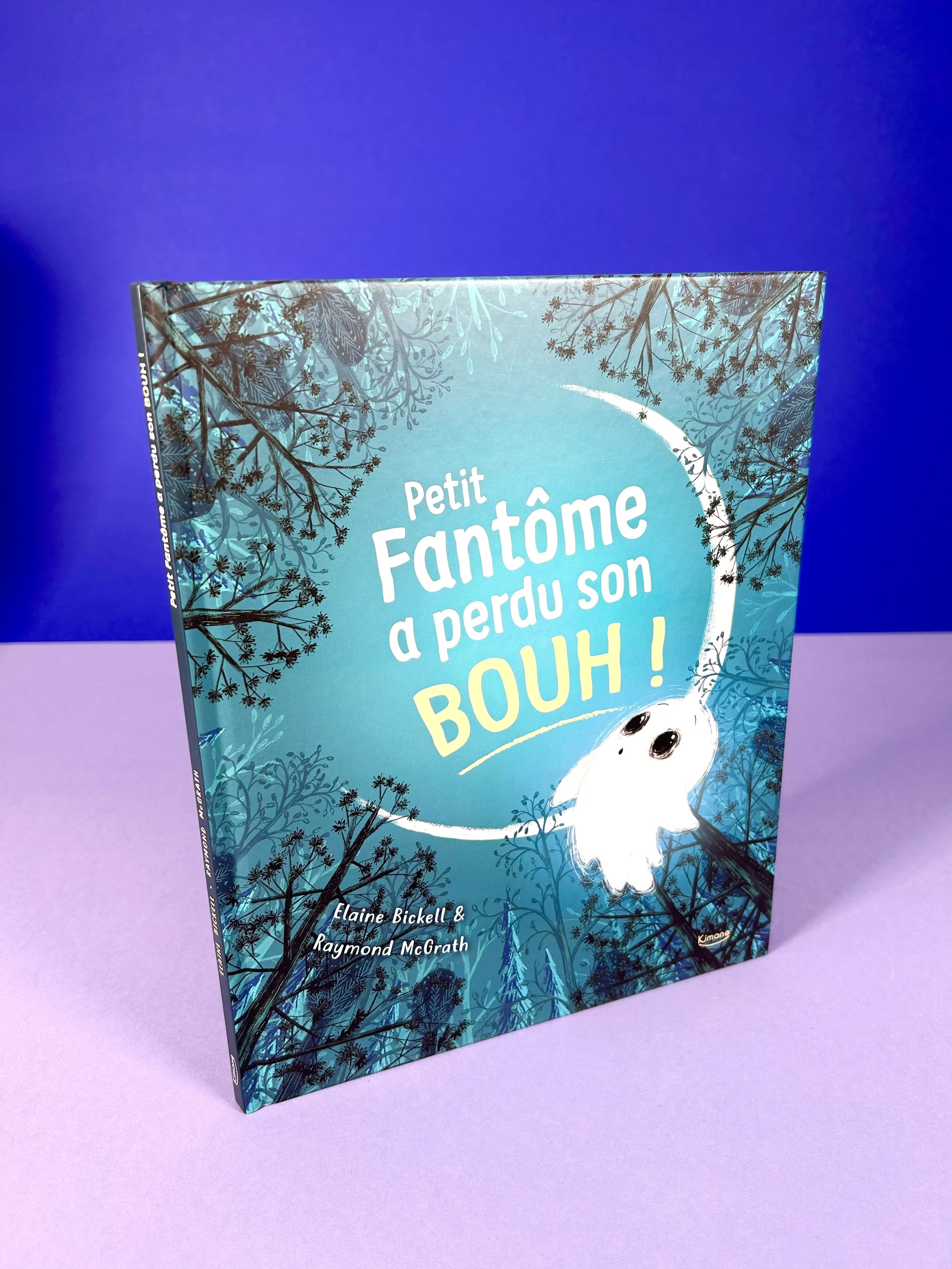 Petit fantome a perdu son bouh!