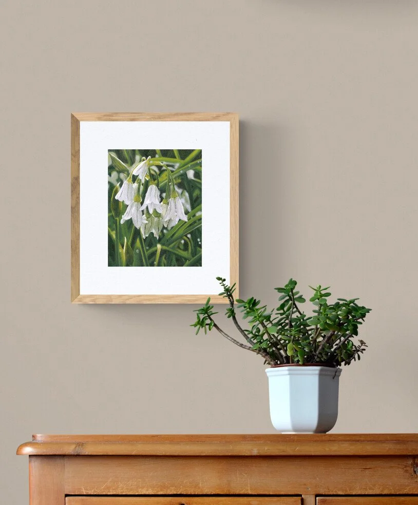 A framed photograph of white flowers hanging on a light-colored wall, with a potted jade plant on a wooden surface below.