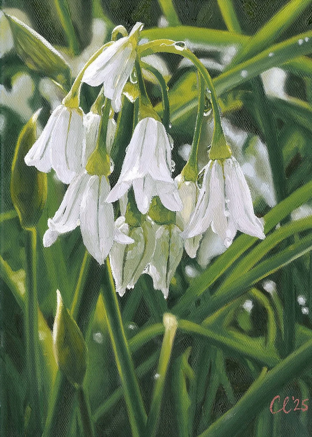 A painting of white snowdrop flowers with water droplets, surrounded by green grass and foliage.