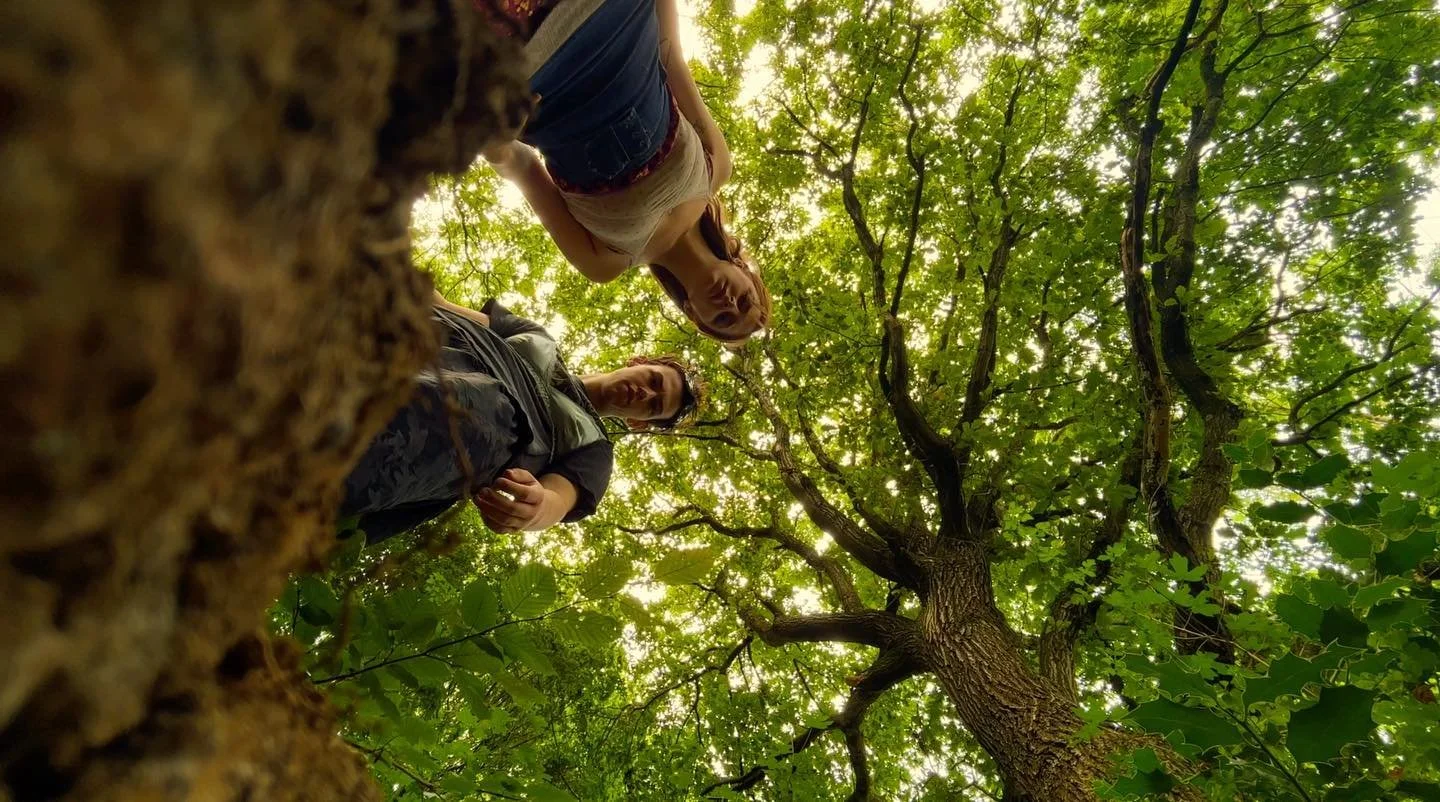 &ldquo;Stay?&rdquo; by Ellavated Shorts with artistic input from Oliver Manley 🌳🌻

Now Live on my Linktree in my bio!!!!

Music is &ldquo;A Pit With Spikes&rdquo; by Eggs
