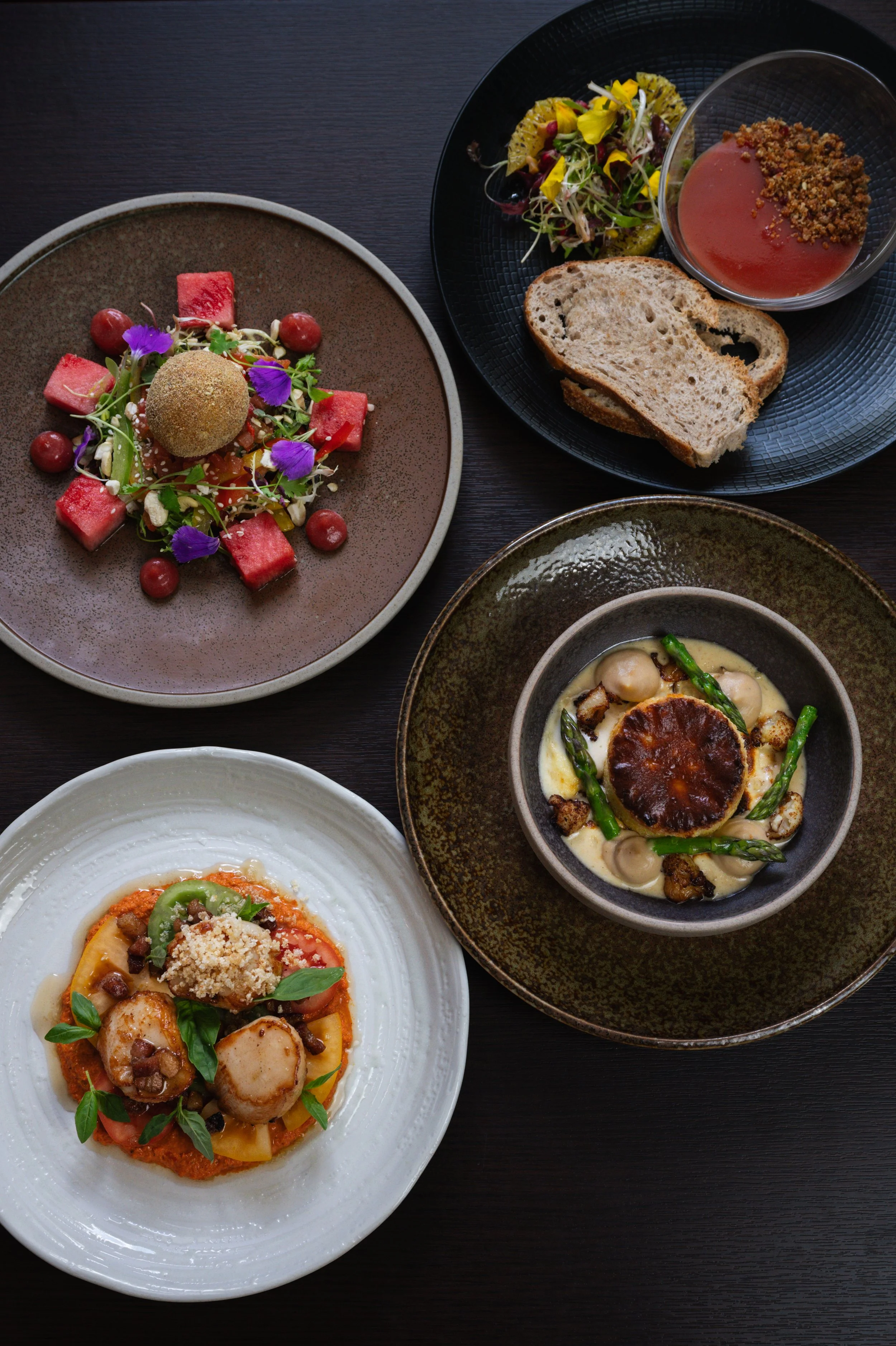 Solasta Creative X Deans-22.jpeg