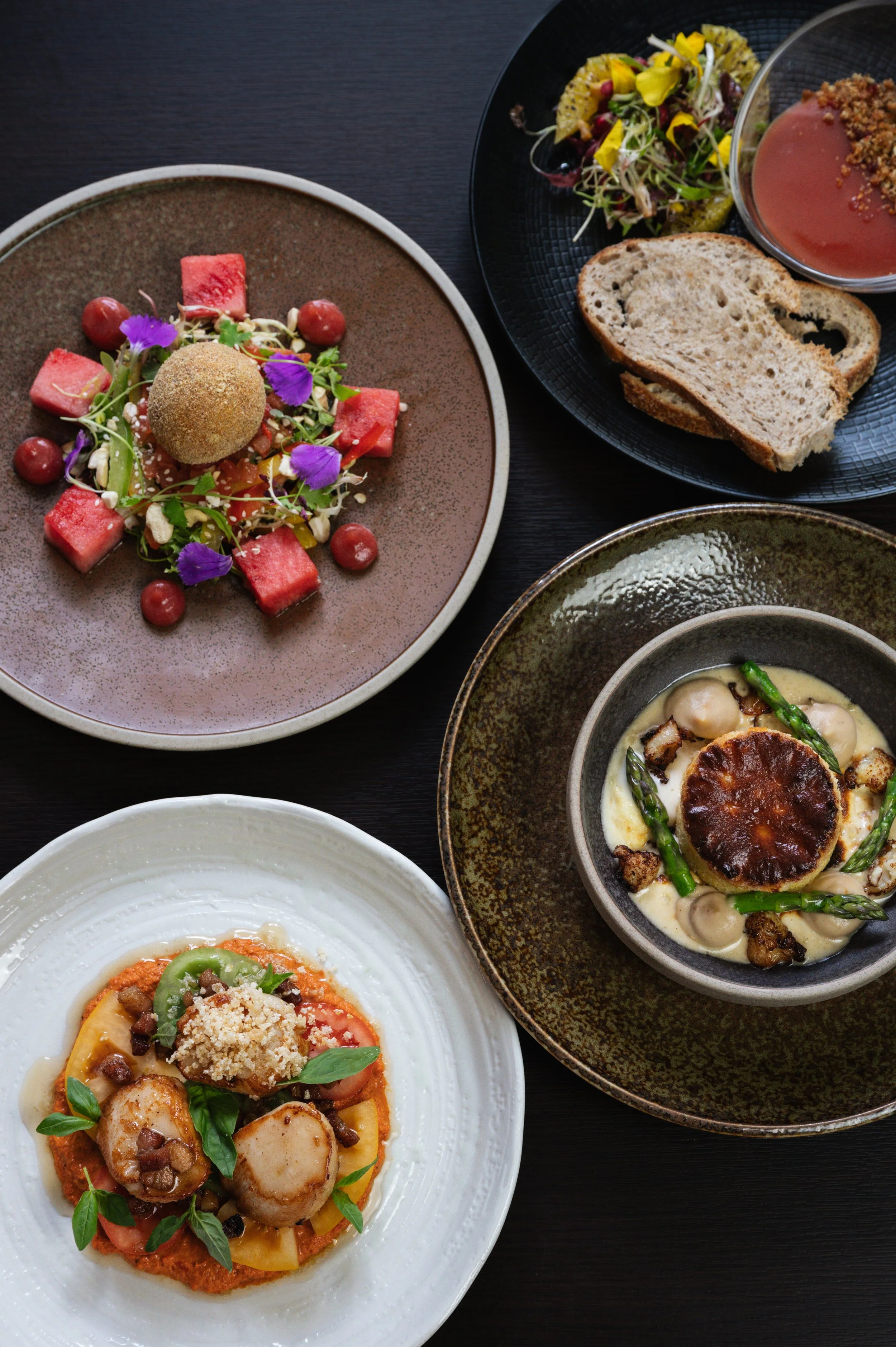 Solasta Creative X Deans-23.jpeg