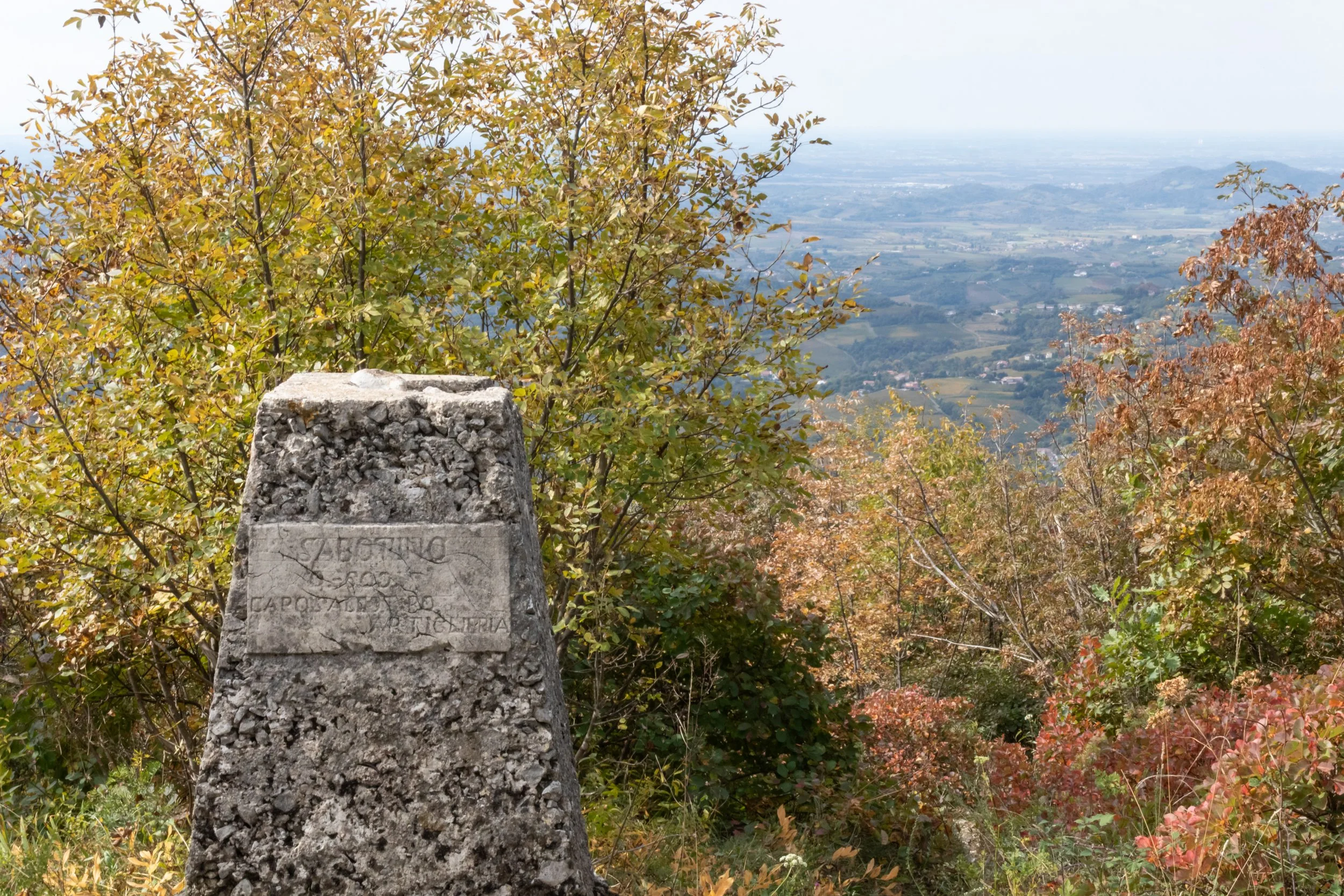 _MG_3598.jpg