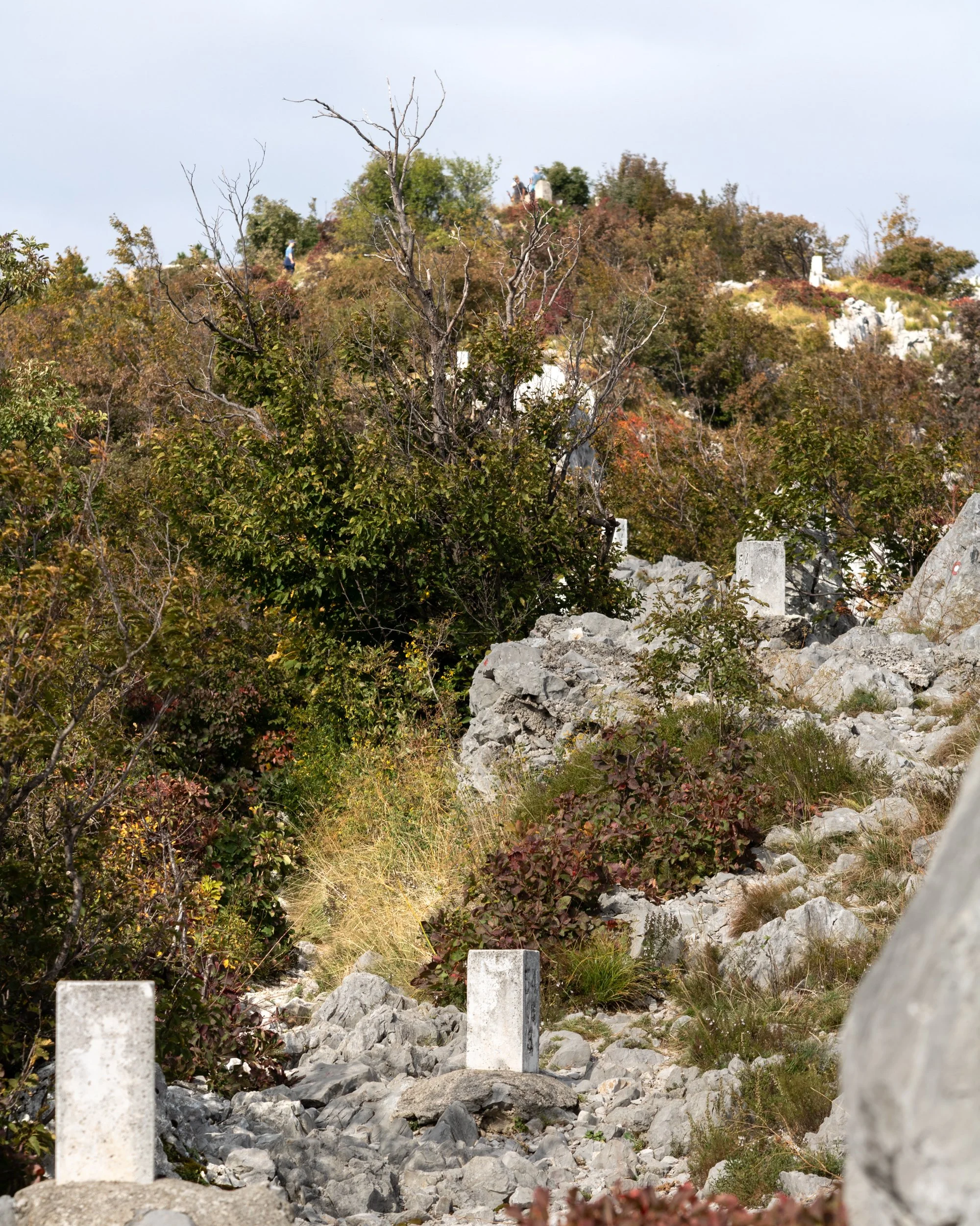 _MG_3695.jpg