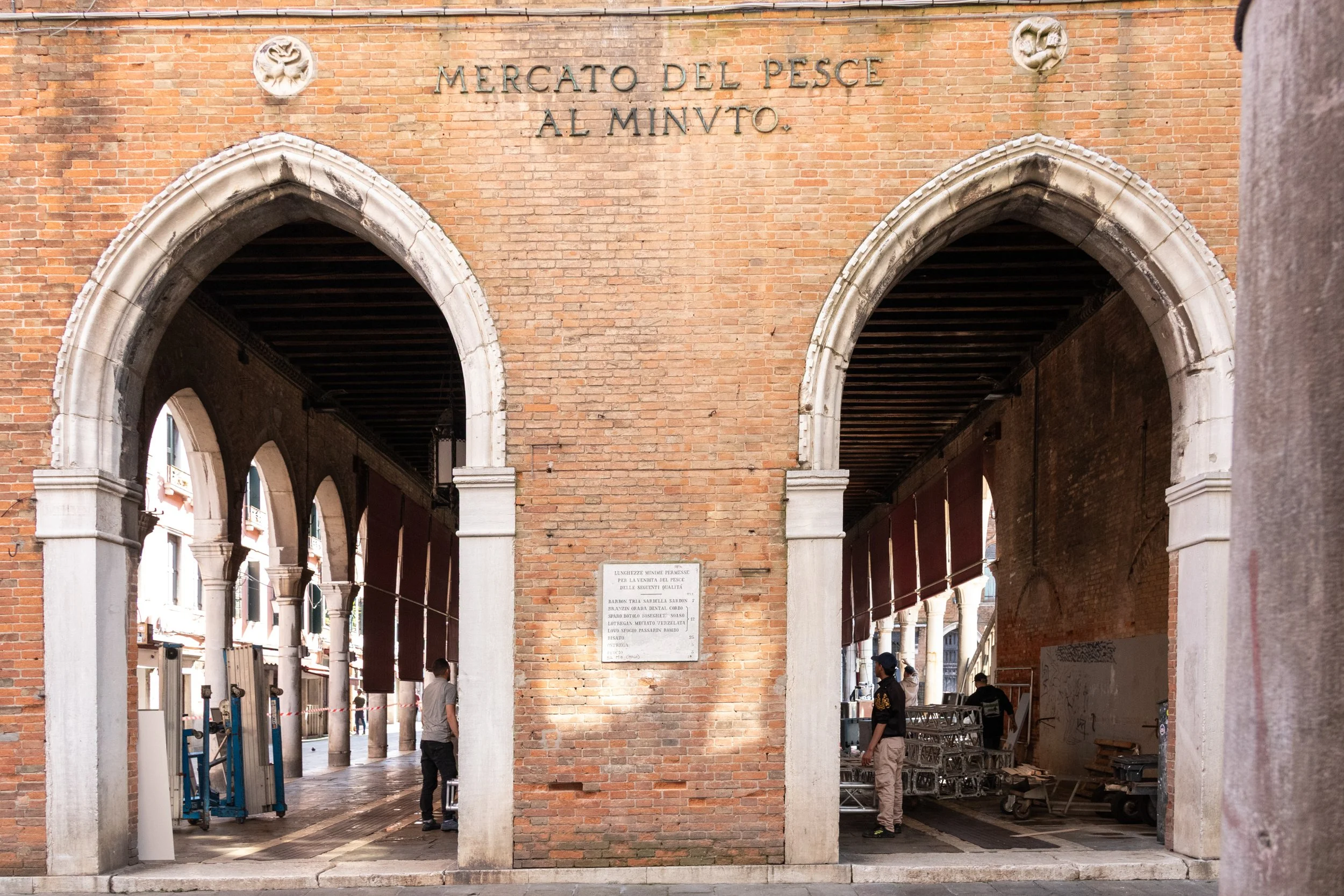 costanza.m.betti_MG_5322.jpg
