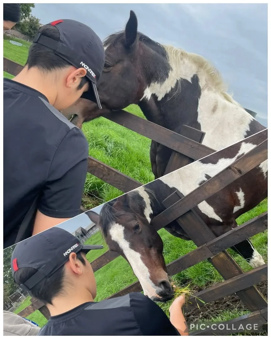 A fabulous walk outside feeding horses with mentors Laura and Andy 🐎🐴🍁

#outside #learning #reengagement #inclusion #inclusivity