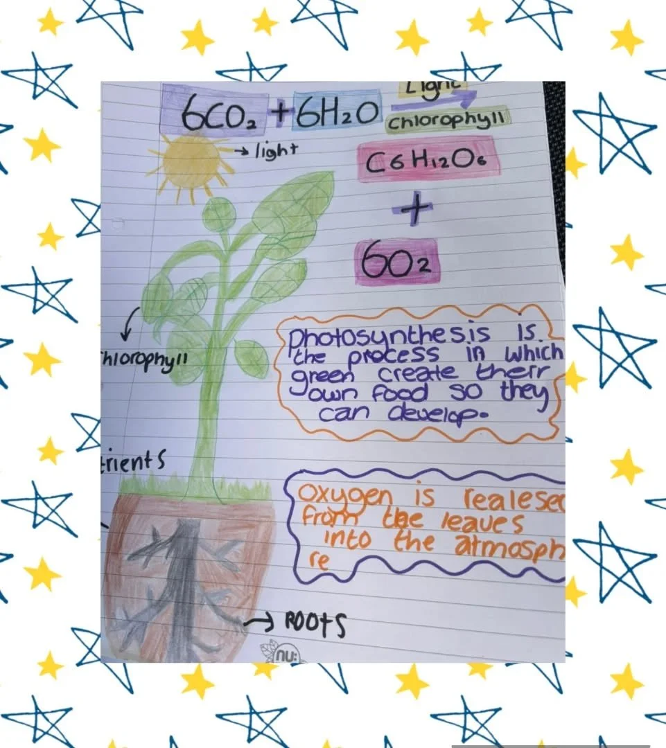 Super GCSE biology work 

#seftontuition ##Sefton ##seftoncouncil #sensupport #SEN #SEMH #Ks1 #ks2 #ks3 #ks4 #learning #reengagement #skills #alternativeeducation #education #reengagement #inclusion #Liverpool ##liverpoolcouncil #liverpooltuition #ha