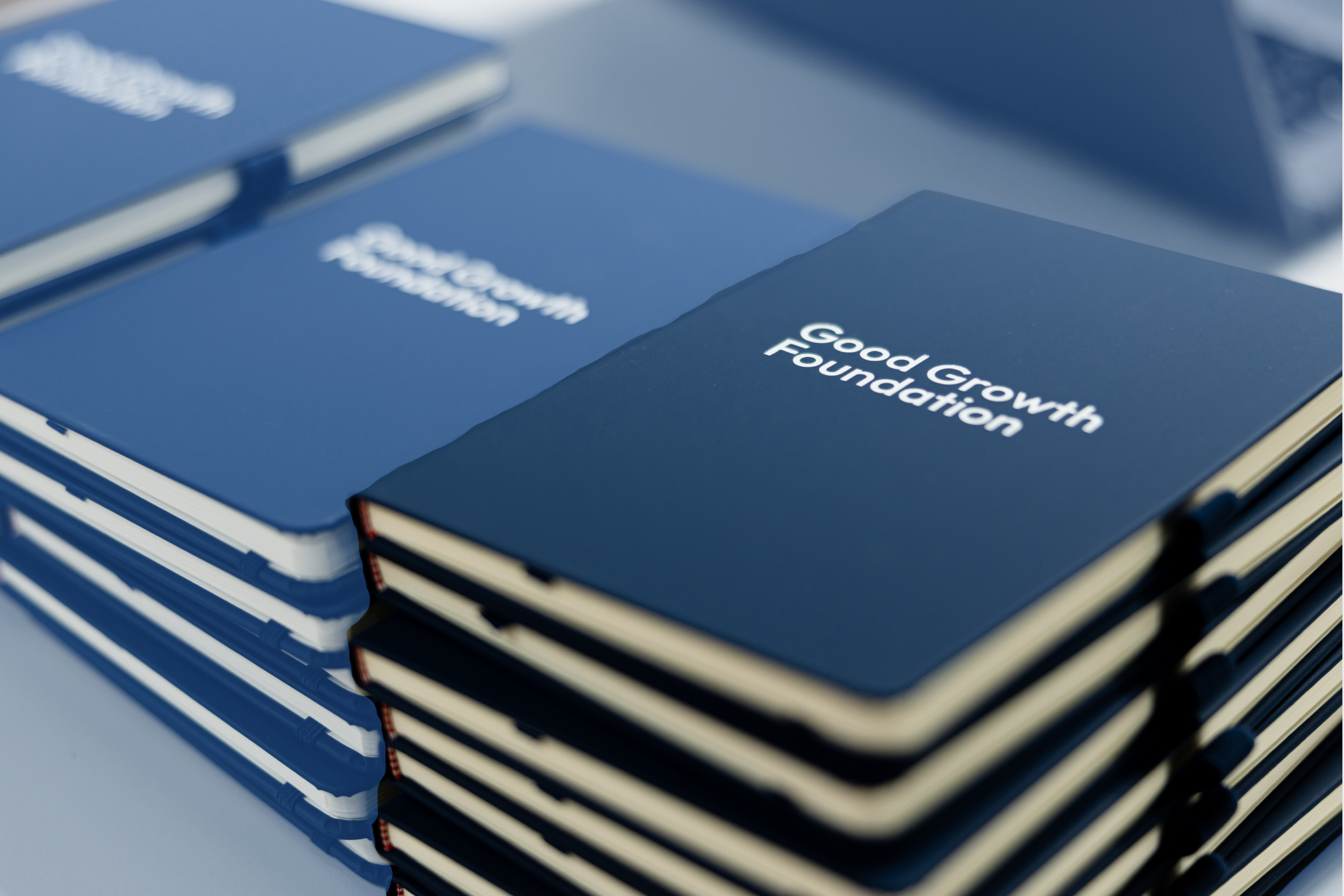 One Year of the Good Growth Foundation