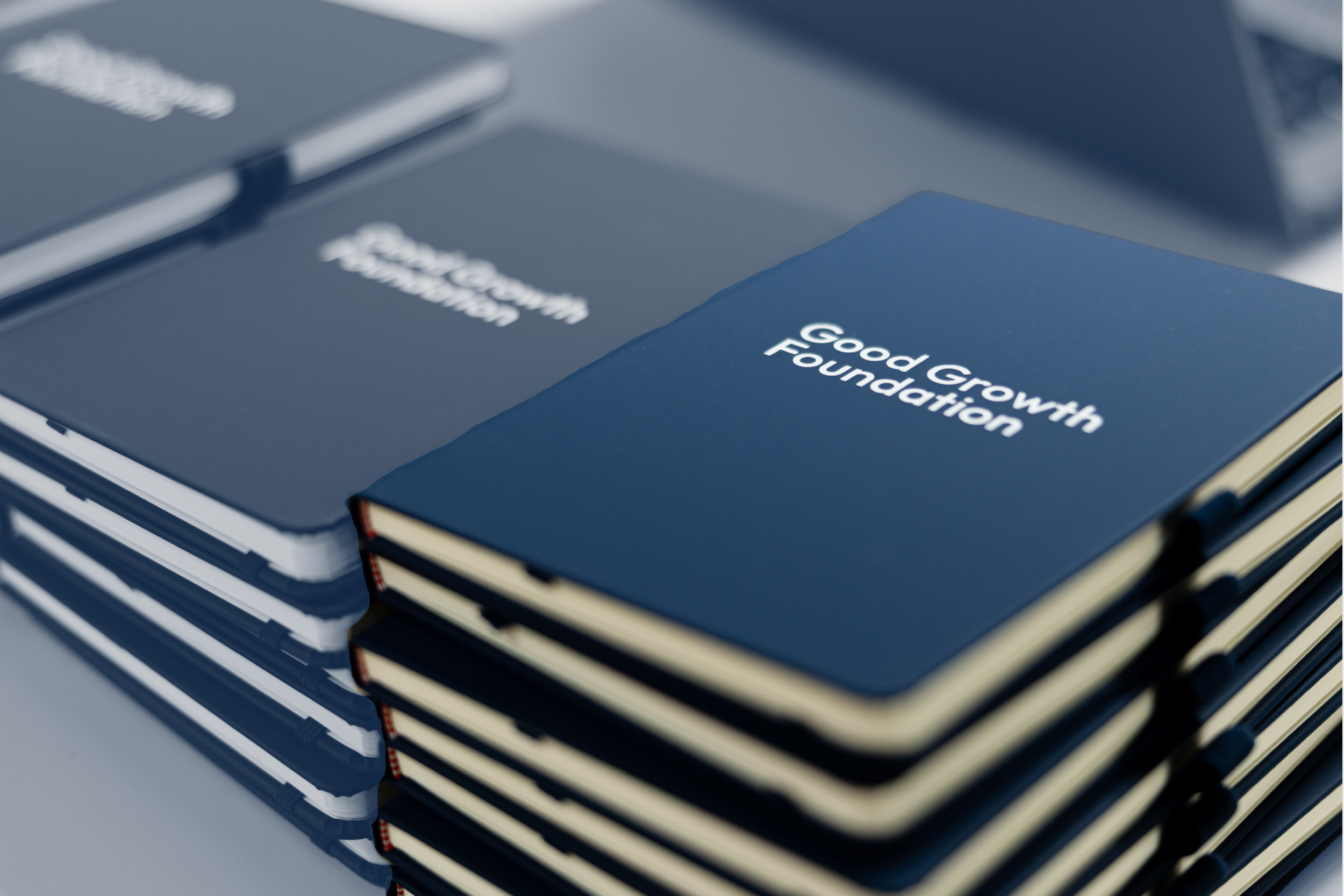 One Year of the Good Growth Foundation